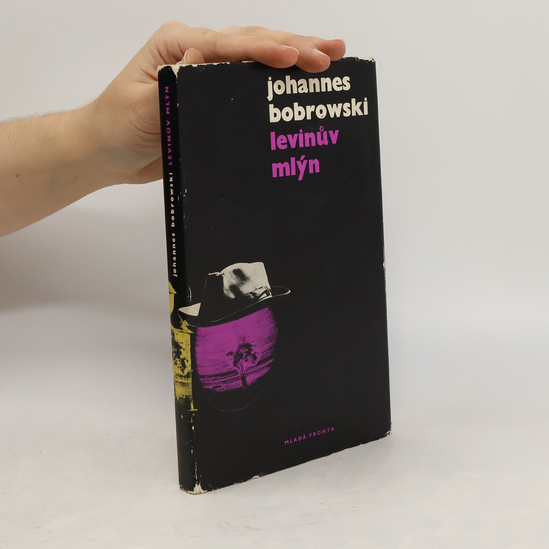Johannes Bobrowski Levinův mlýn
