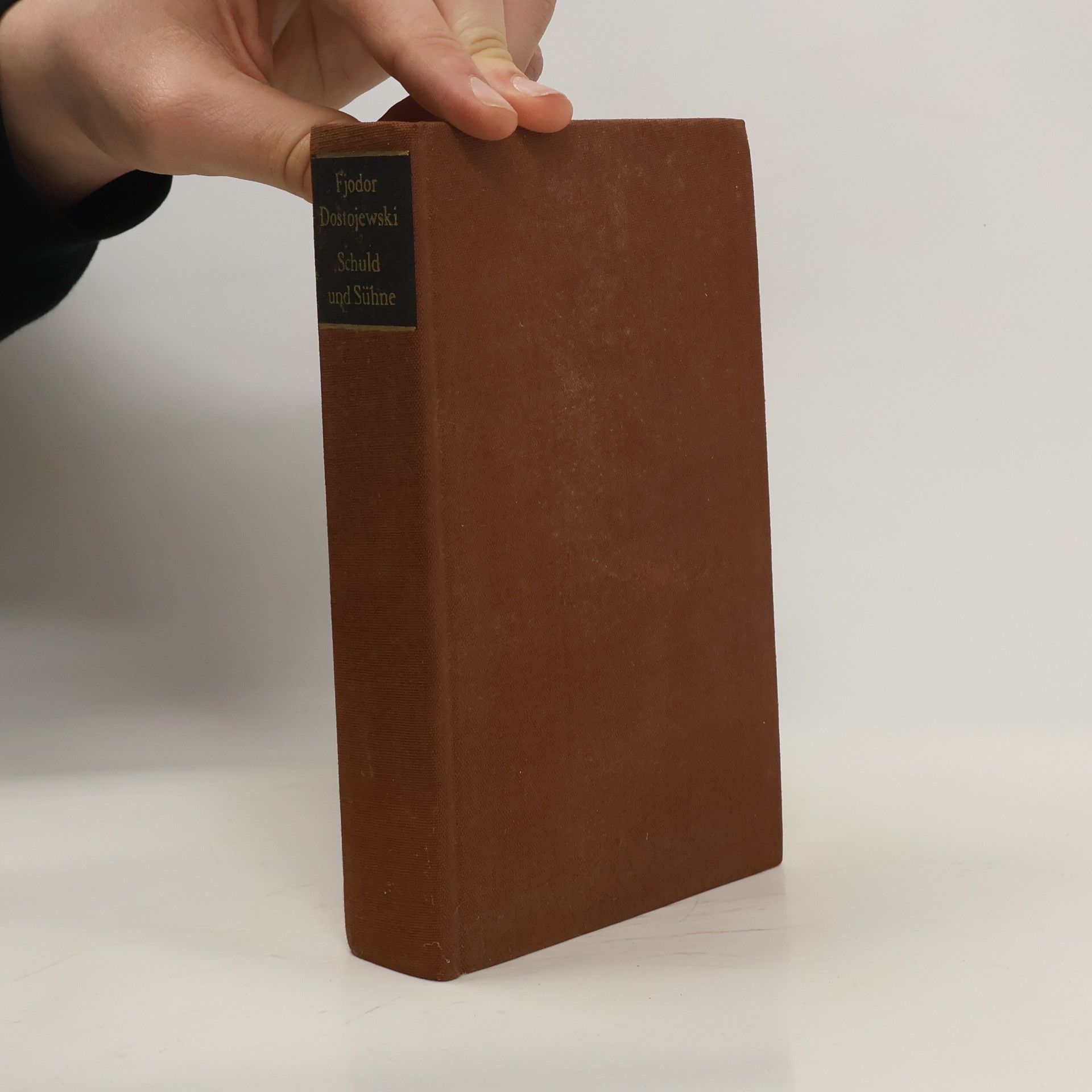Fyodor Dostoyevsky Schuld und Sühne