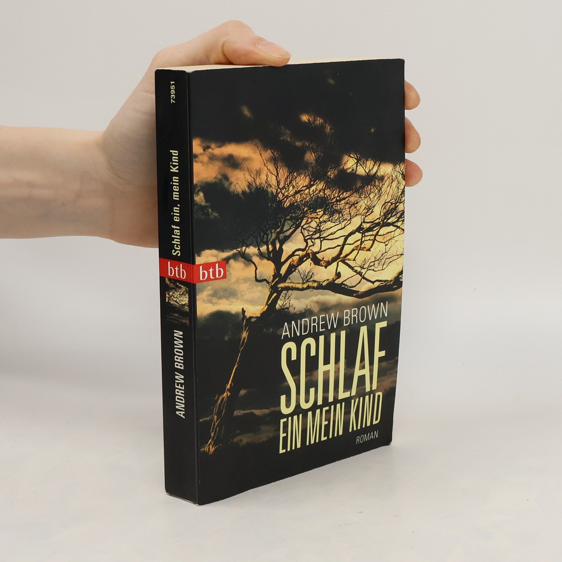 Andrew Brown Schlaf ein, mein Kind