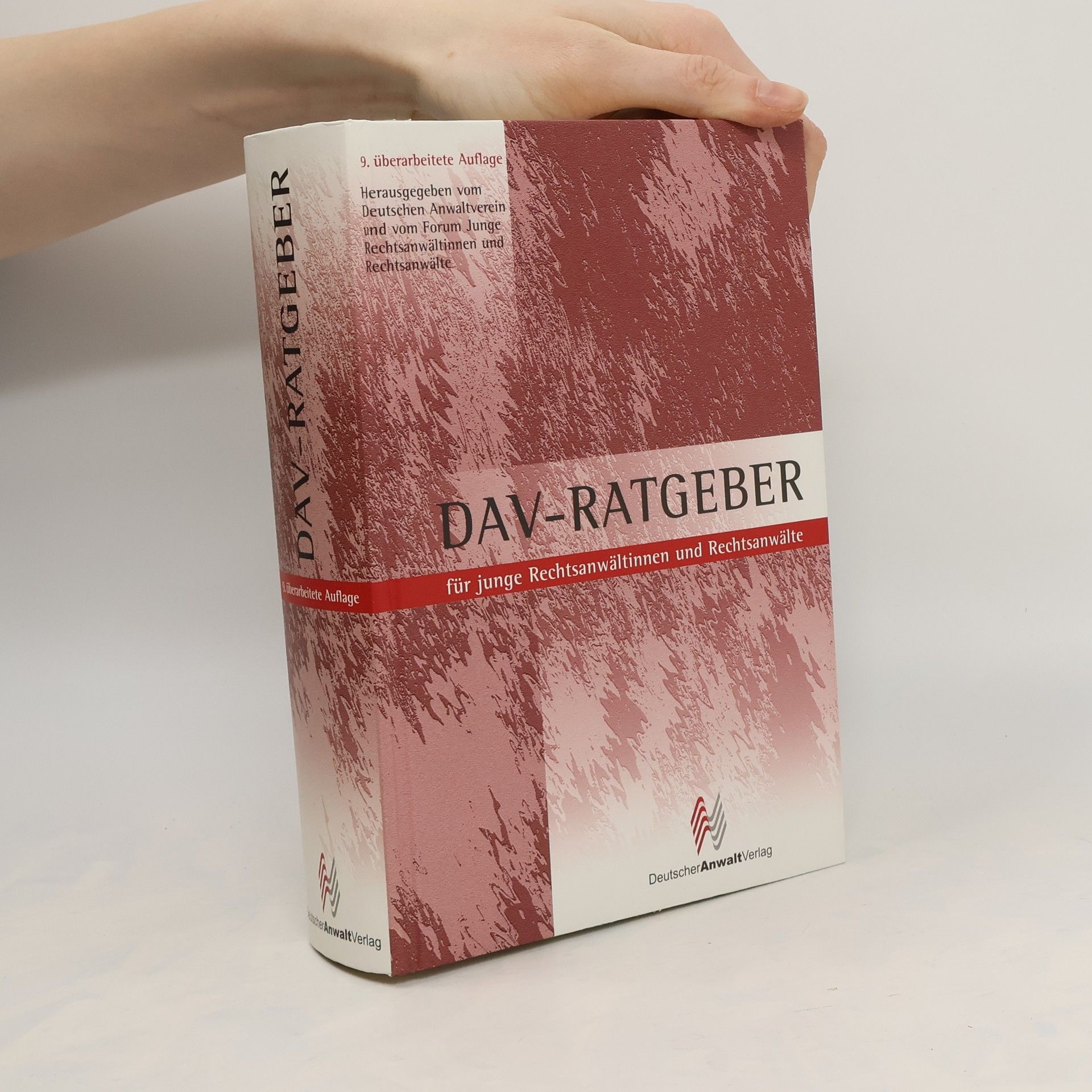 Tanja Irion Ratgeber für junge Rechtsanwältinnen und Rechtsanwälte