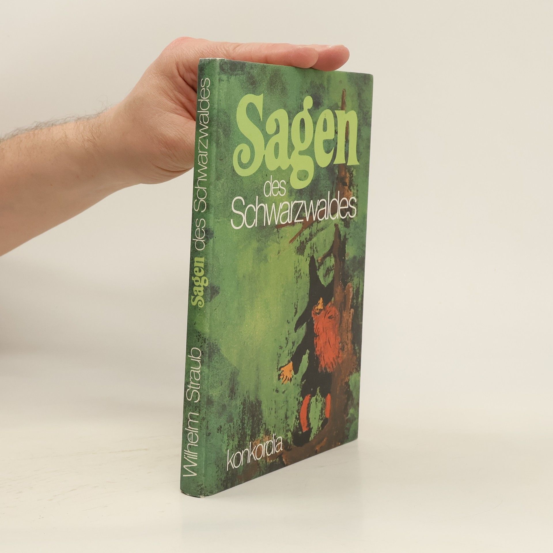 Wilhelm Straub Sagen des Schwarzwaldes
