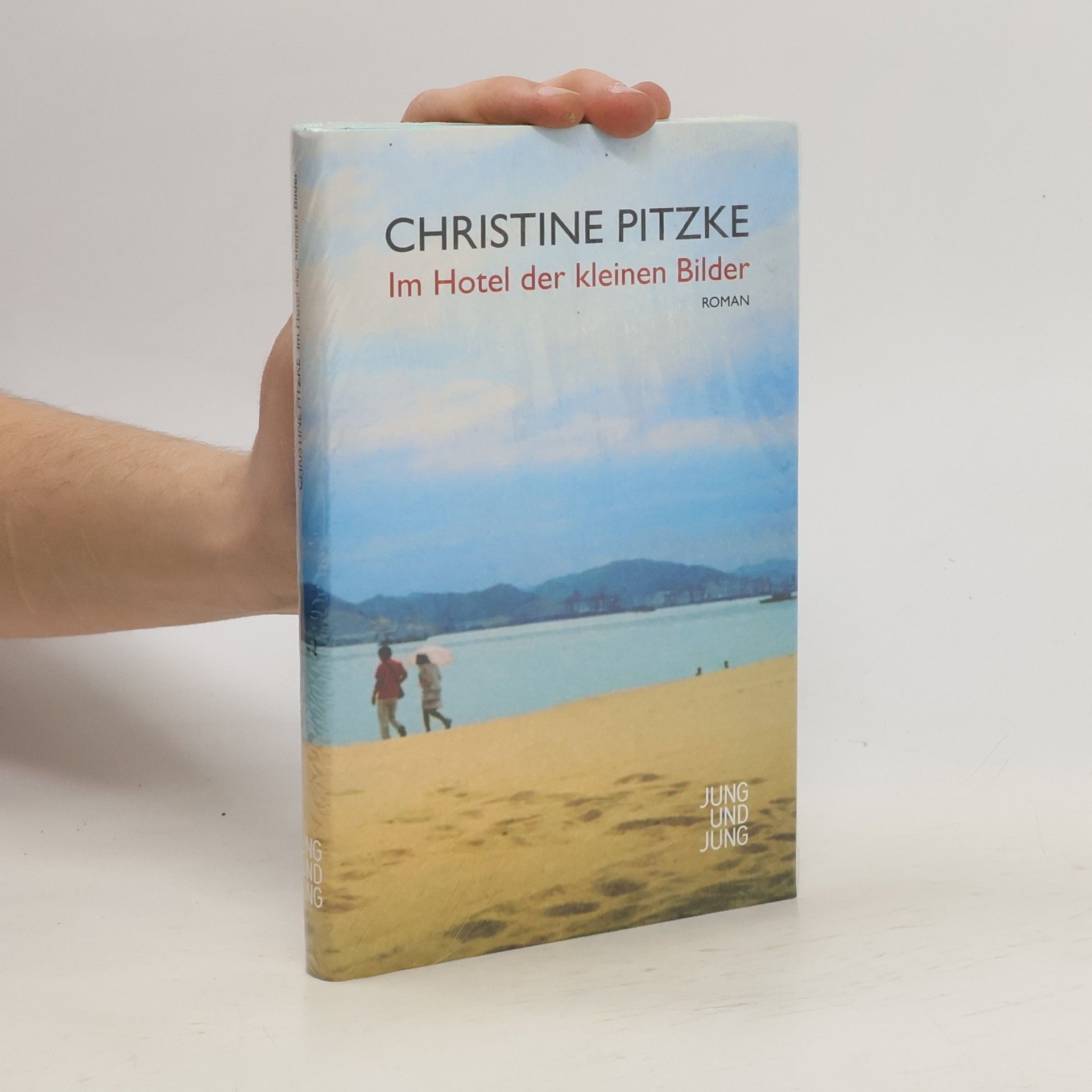 Christine Pitzke Im Hotel der kleinen Bilder