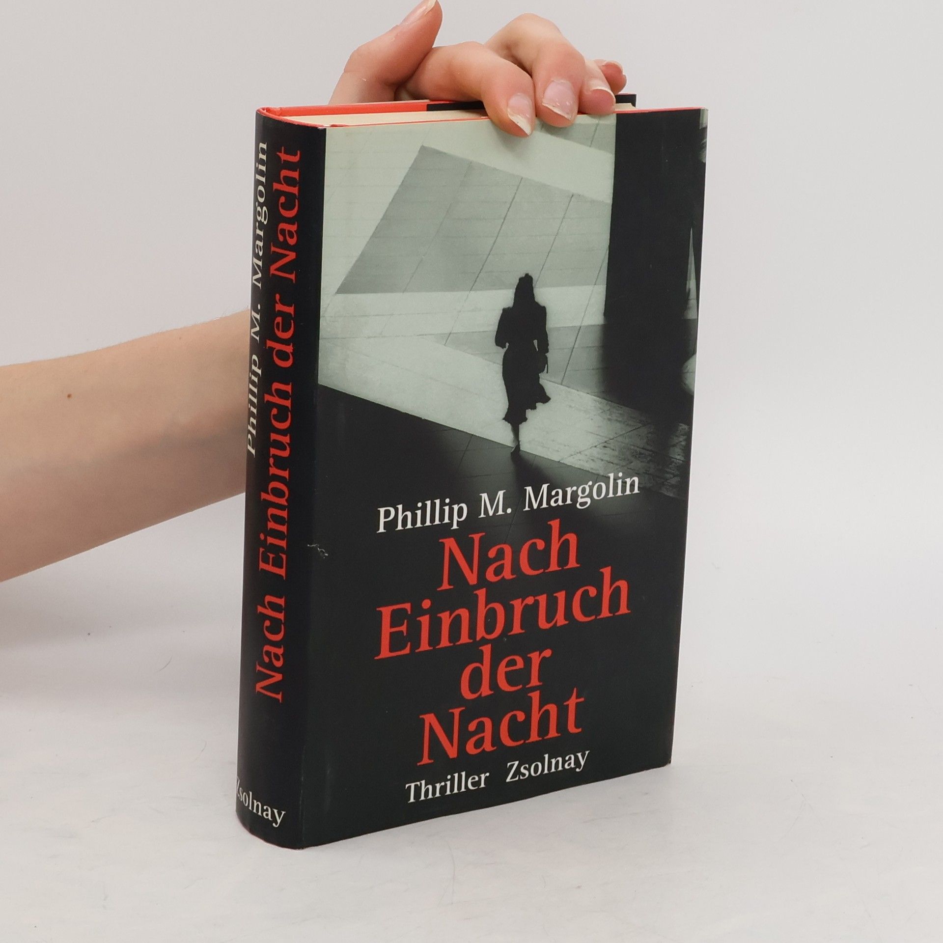 Phillip Margolin Nach Einbruch der Nacht. Roman