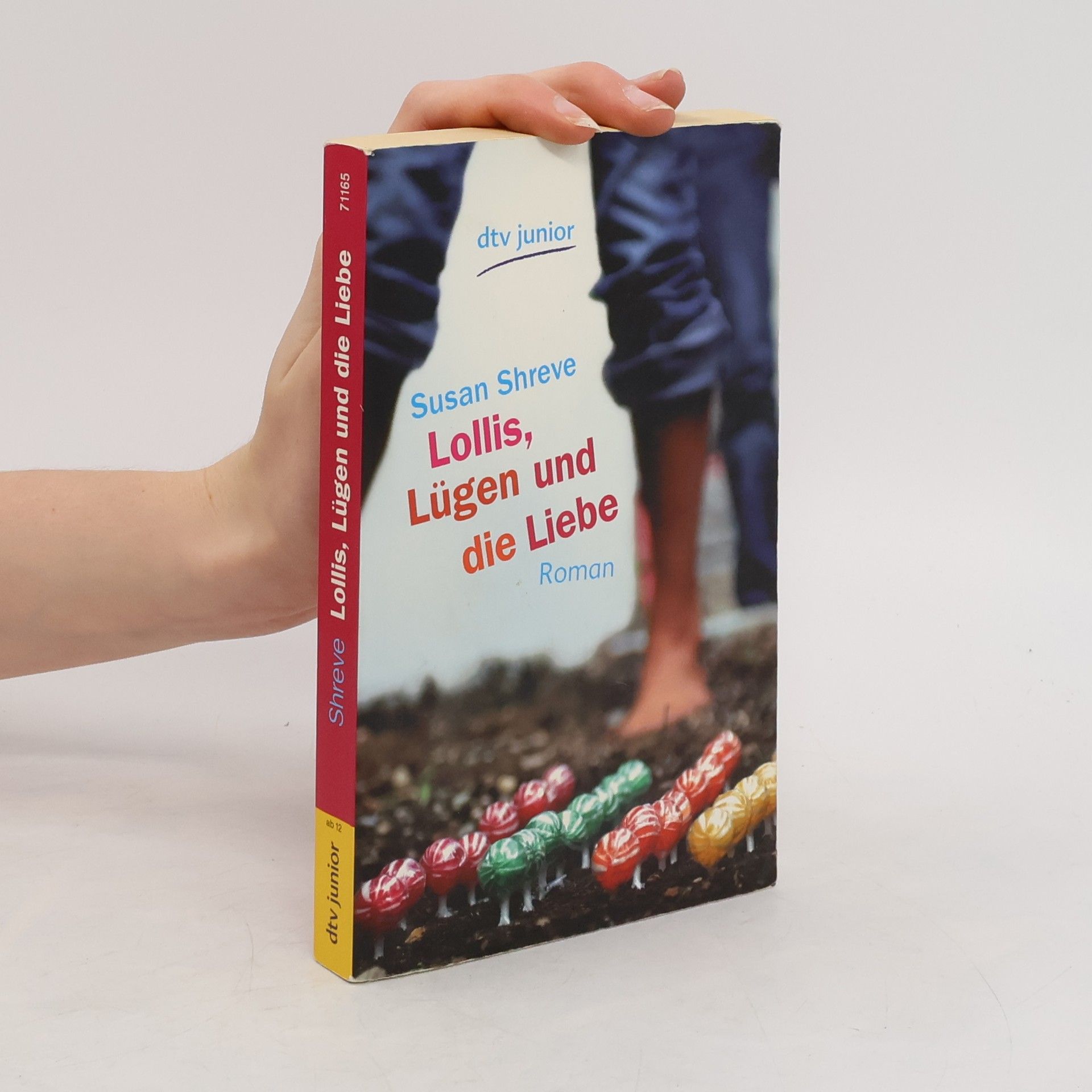 Susan Shreve Lollis, Lügen und die Liebe. Roman