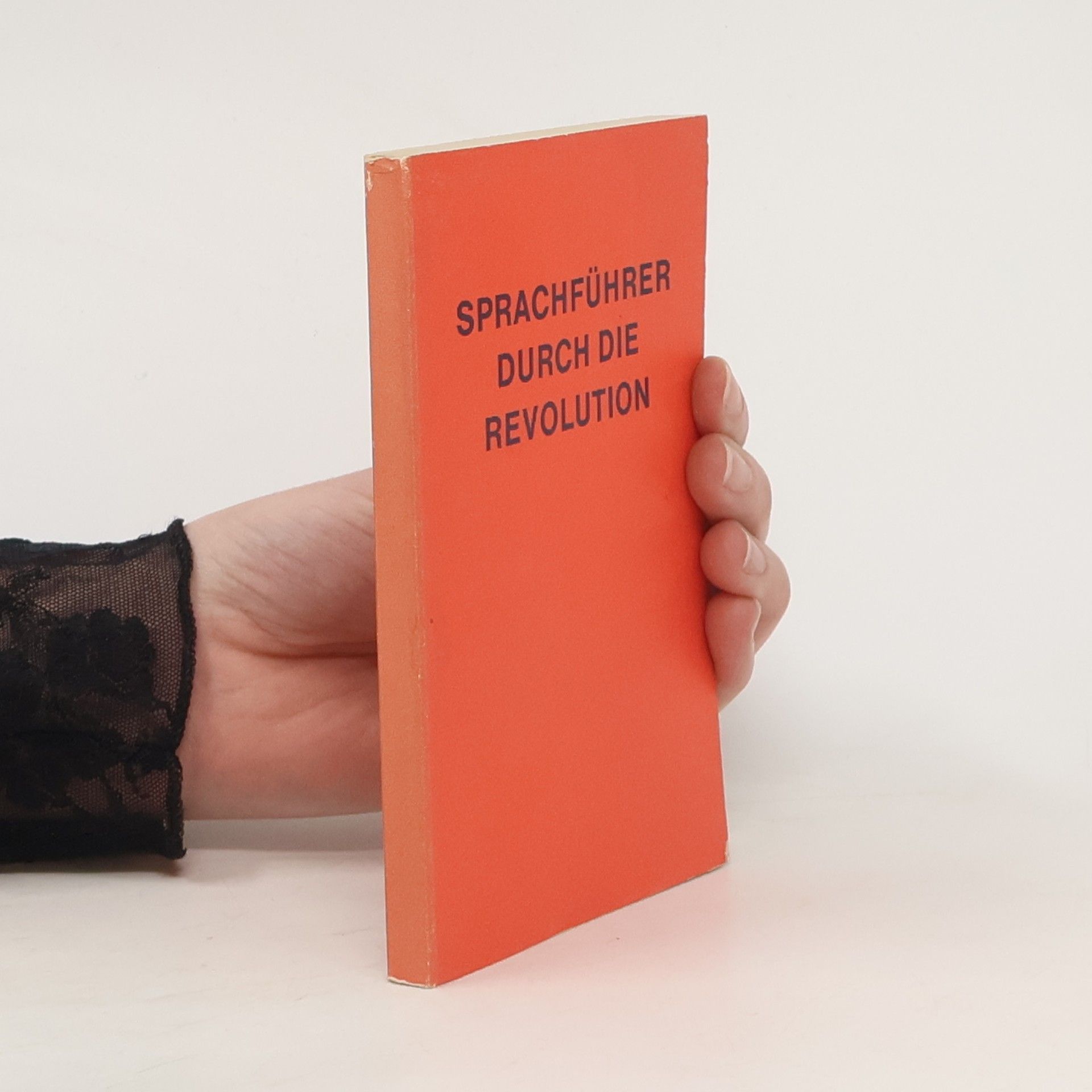 Raimund Koplin Sprachführer durch die Revolution