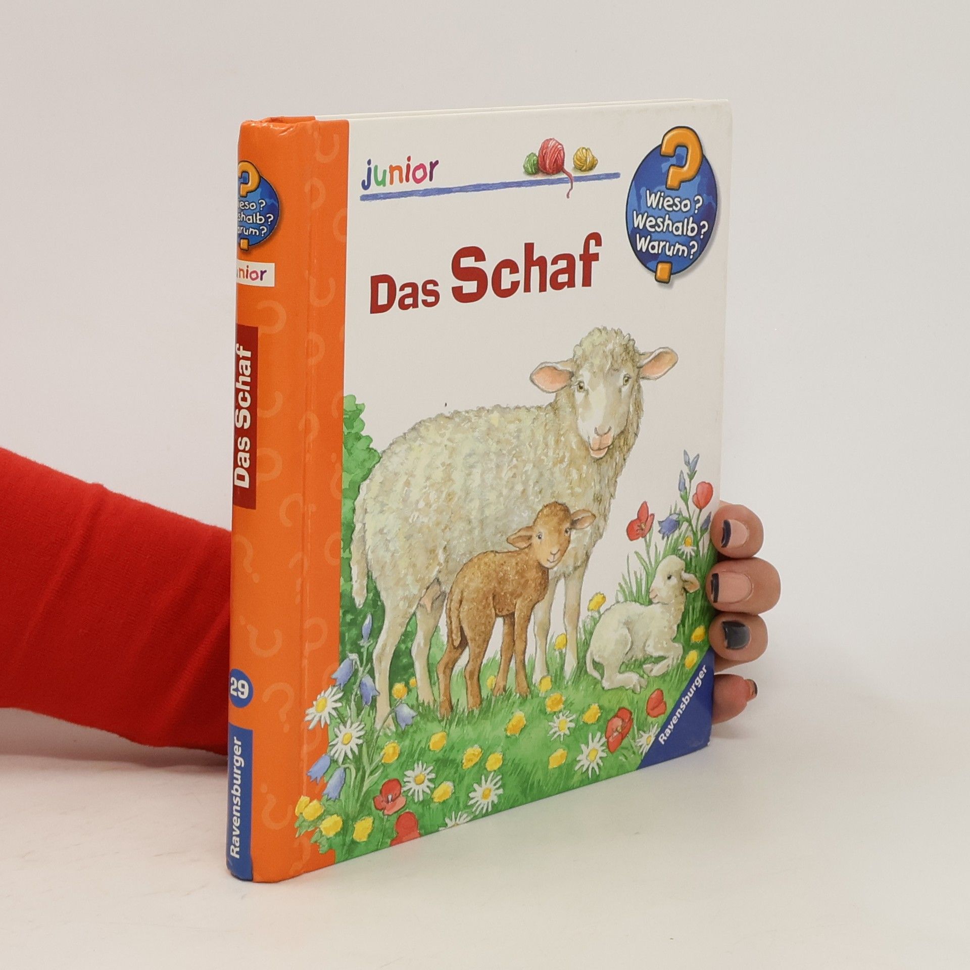 Anne Möller Das Schaf