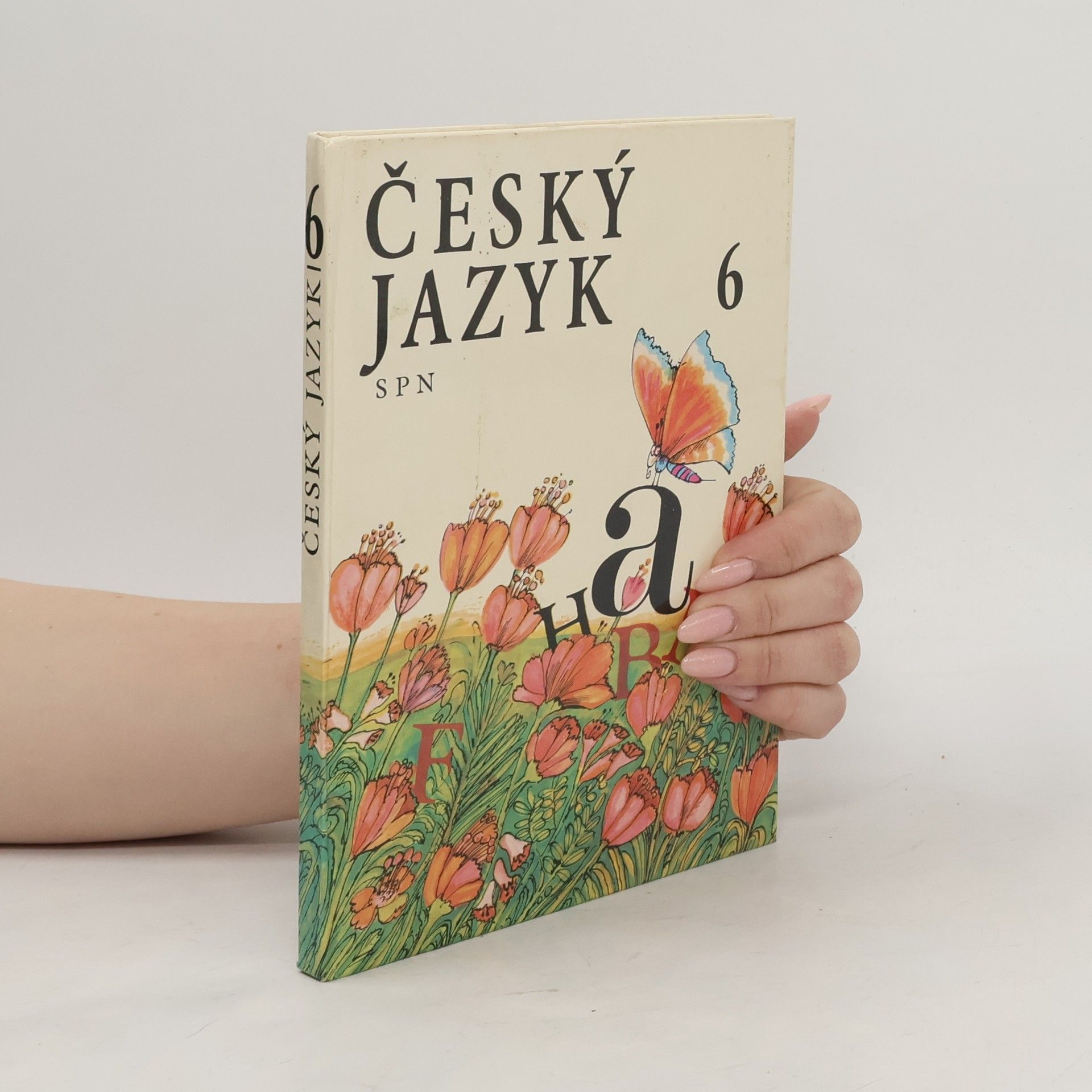 Collectif d'auteurs Česky jazyk 6