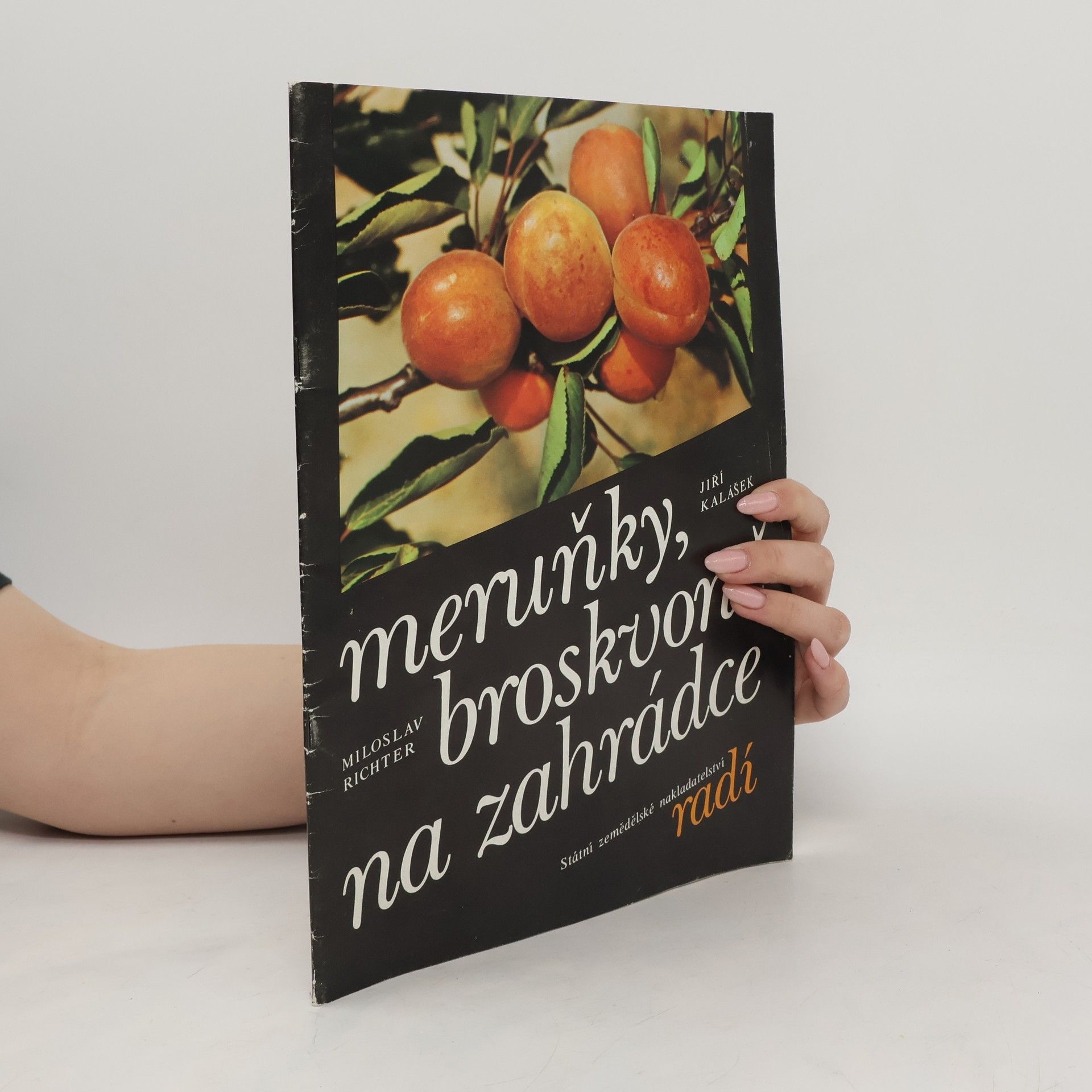 Miloslav Richter Meruňky, broskvoně na zahrádce