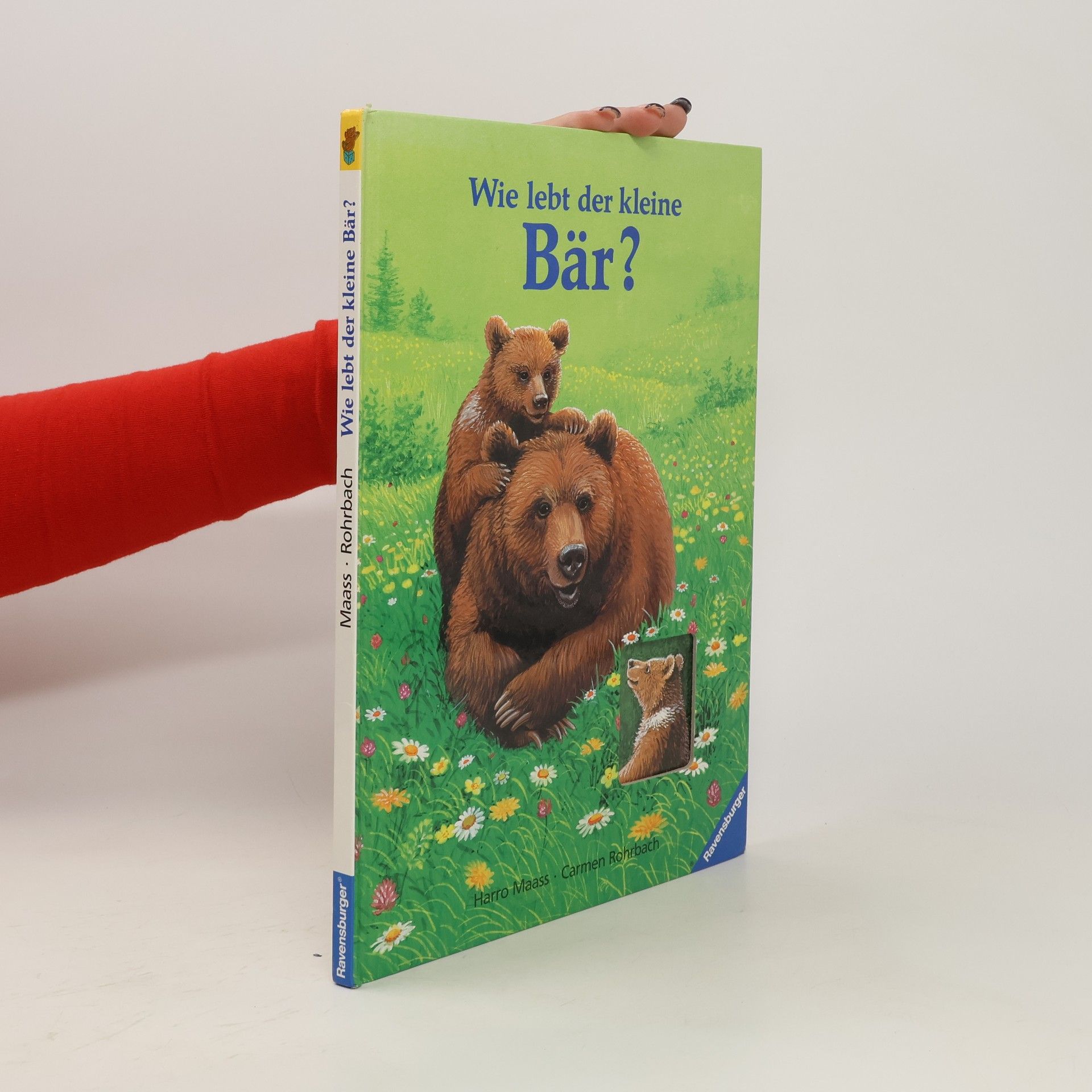 Harro Maass Wie lebt der kleine Bär?