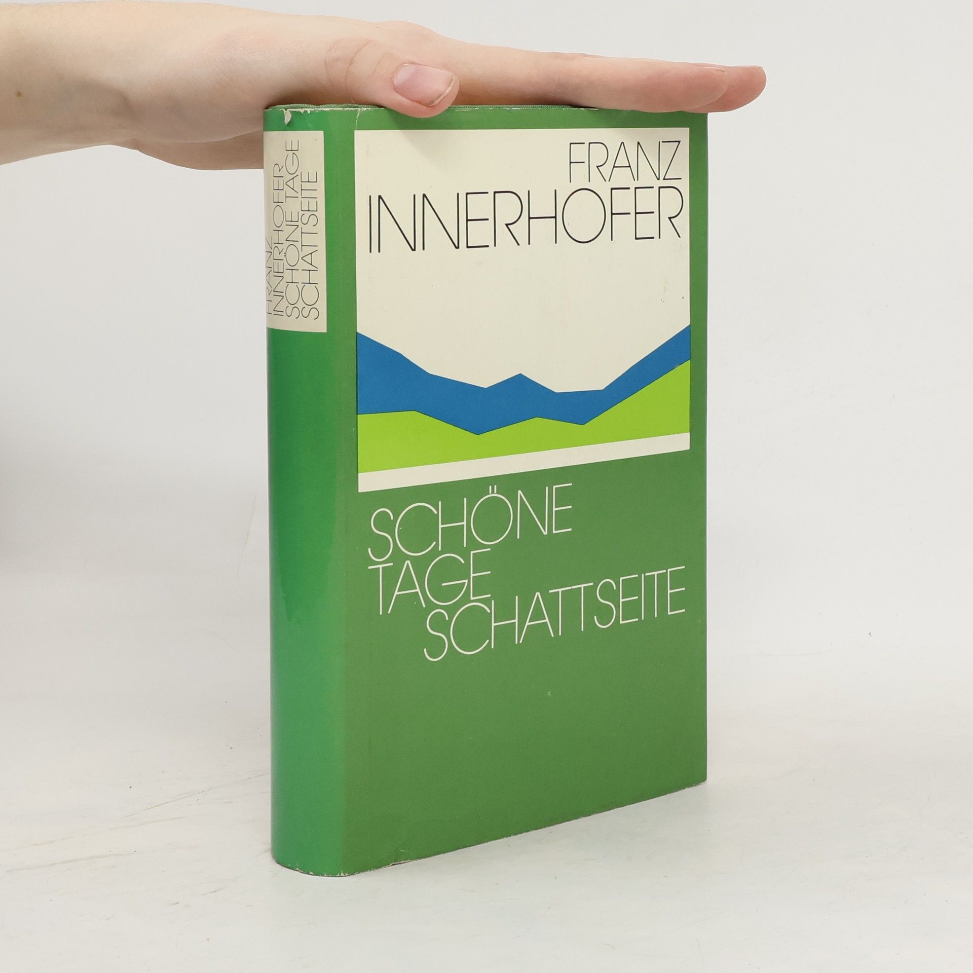 Franz Innerhofer Schöne Tage. Schattseite