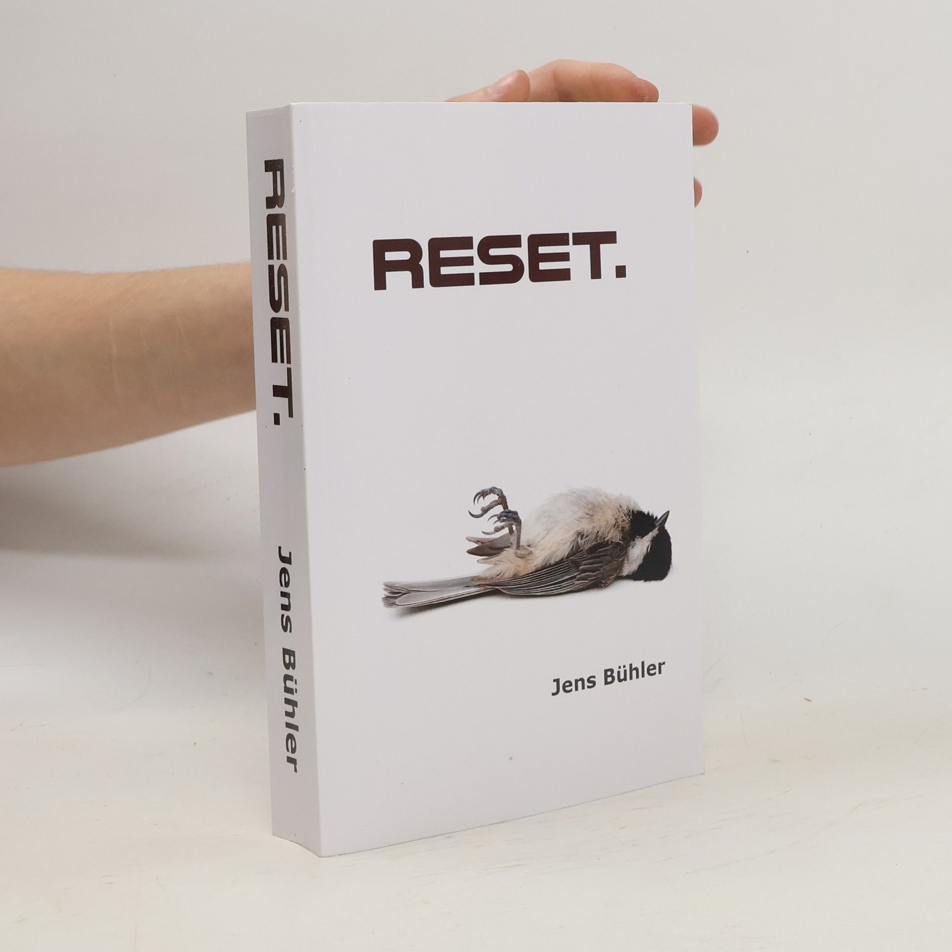 Jens Bühler Reset