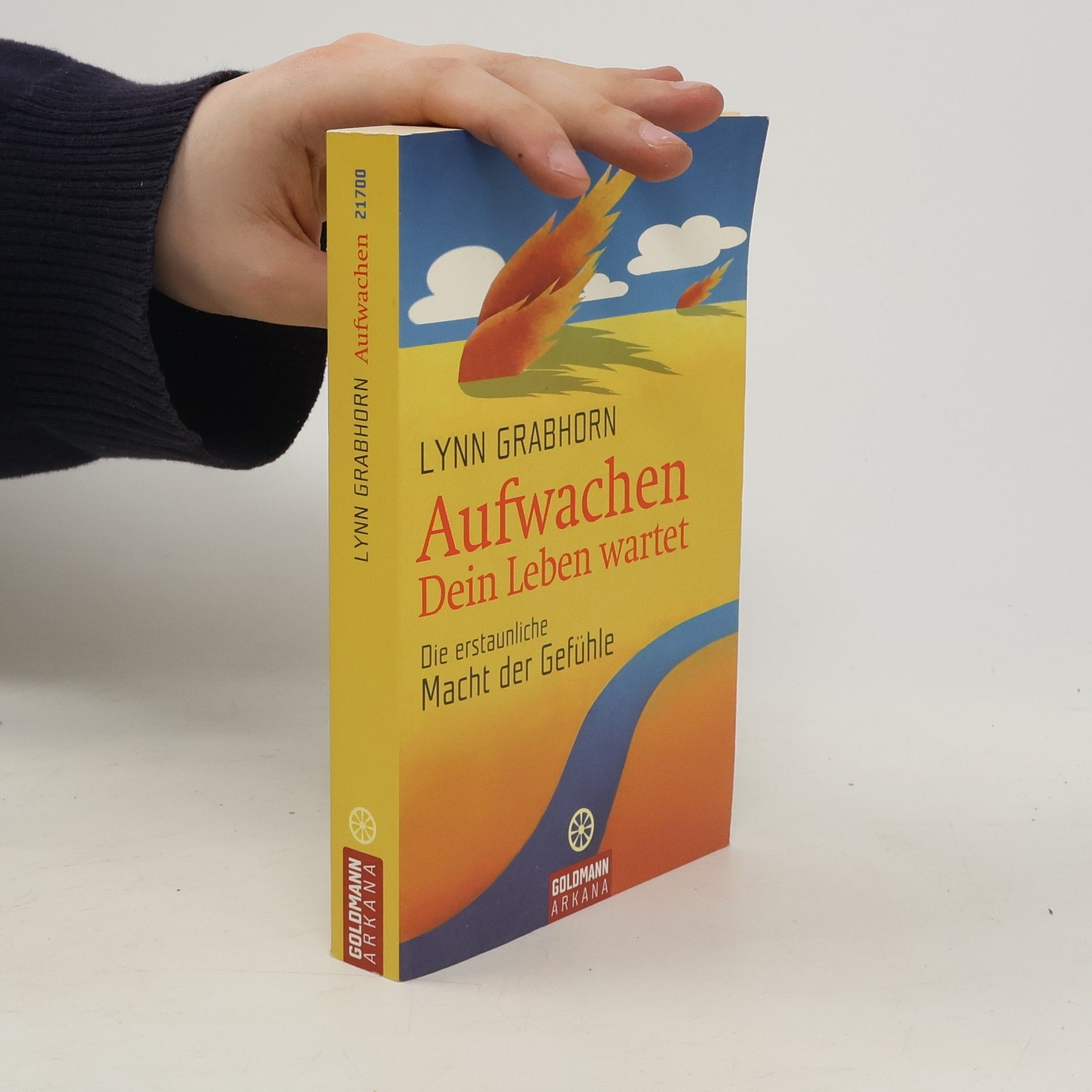 Lynn Grabhorn Aufwachen. Dein Leben wartet