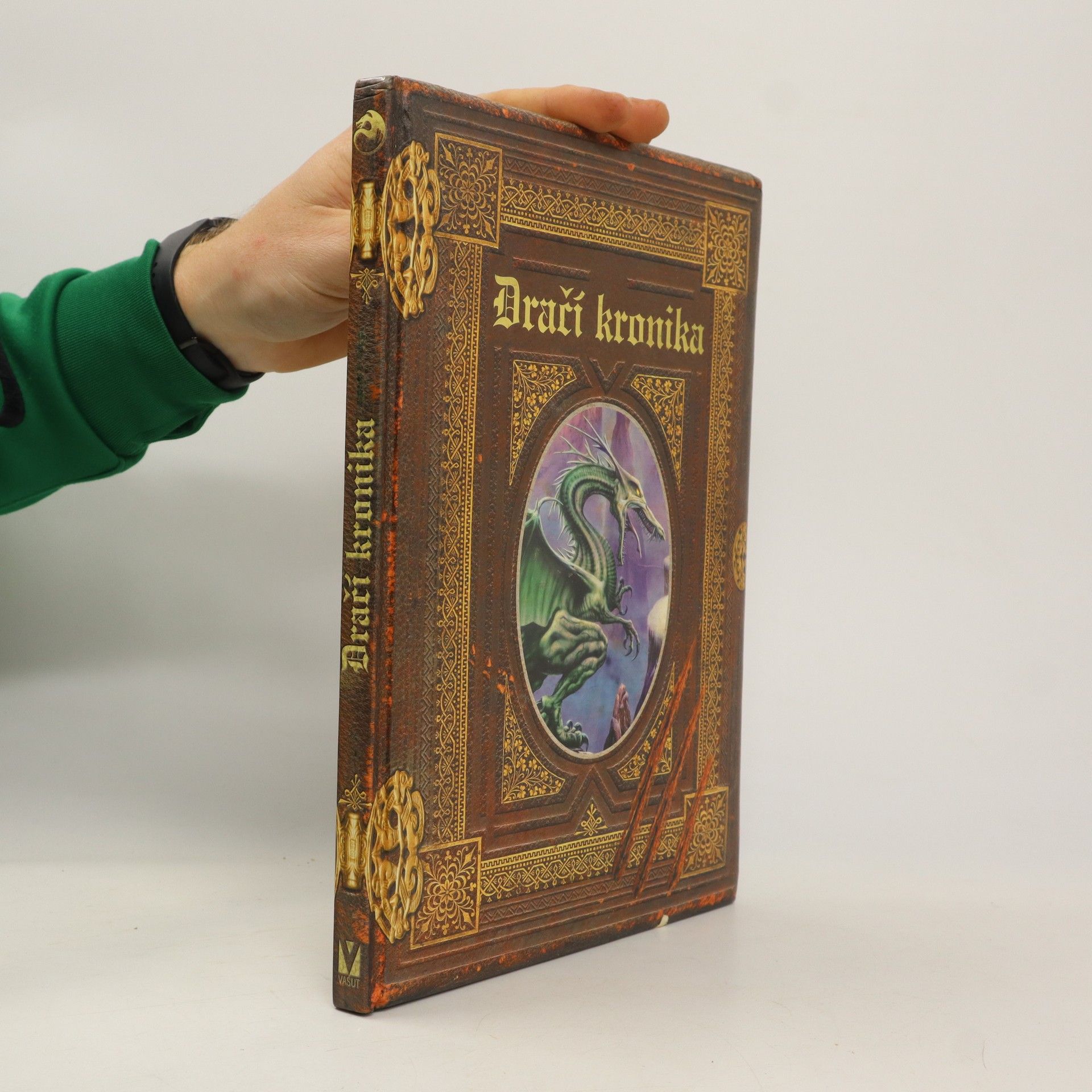 Michal Drápalík Dračí kronika: Ztracený deník Nejvyššího čaroděje, Septima Agoria