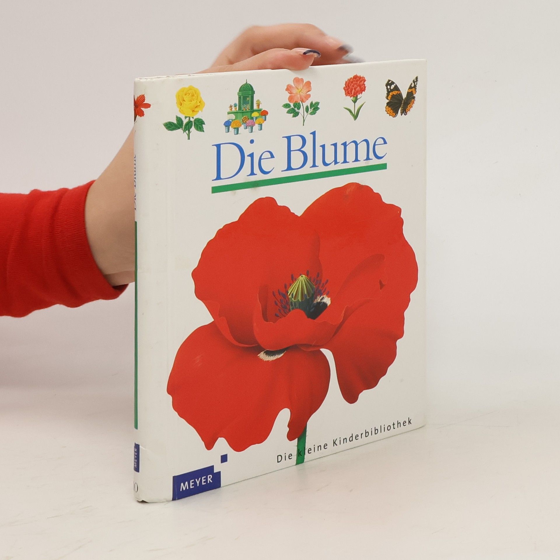 René Mettler Die Blume