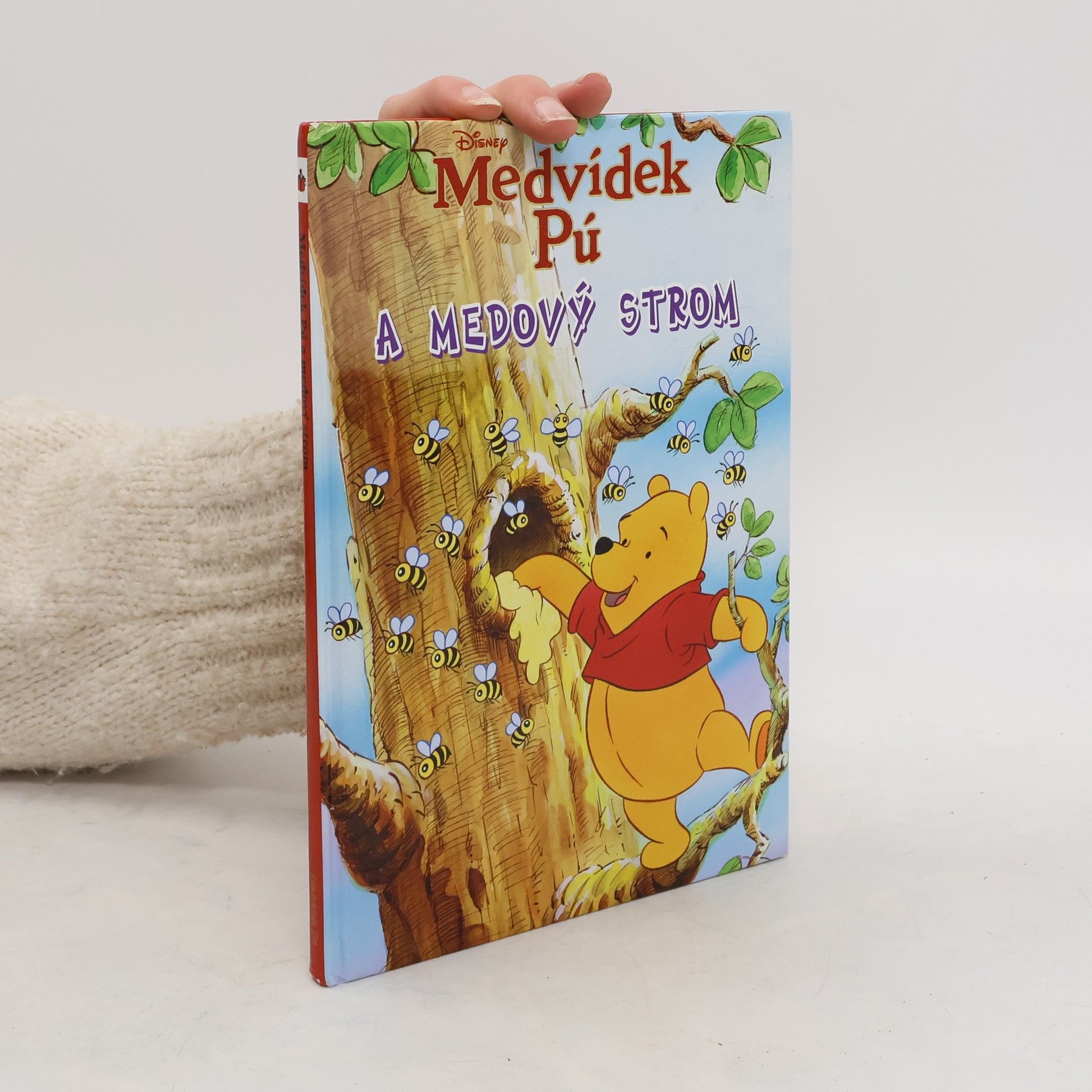 Walt Disney Medvídek Pú a medový strom