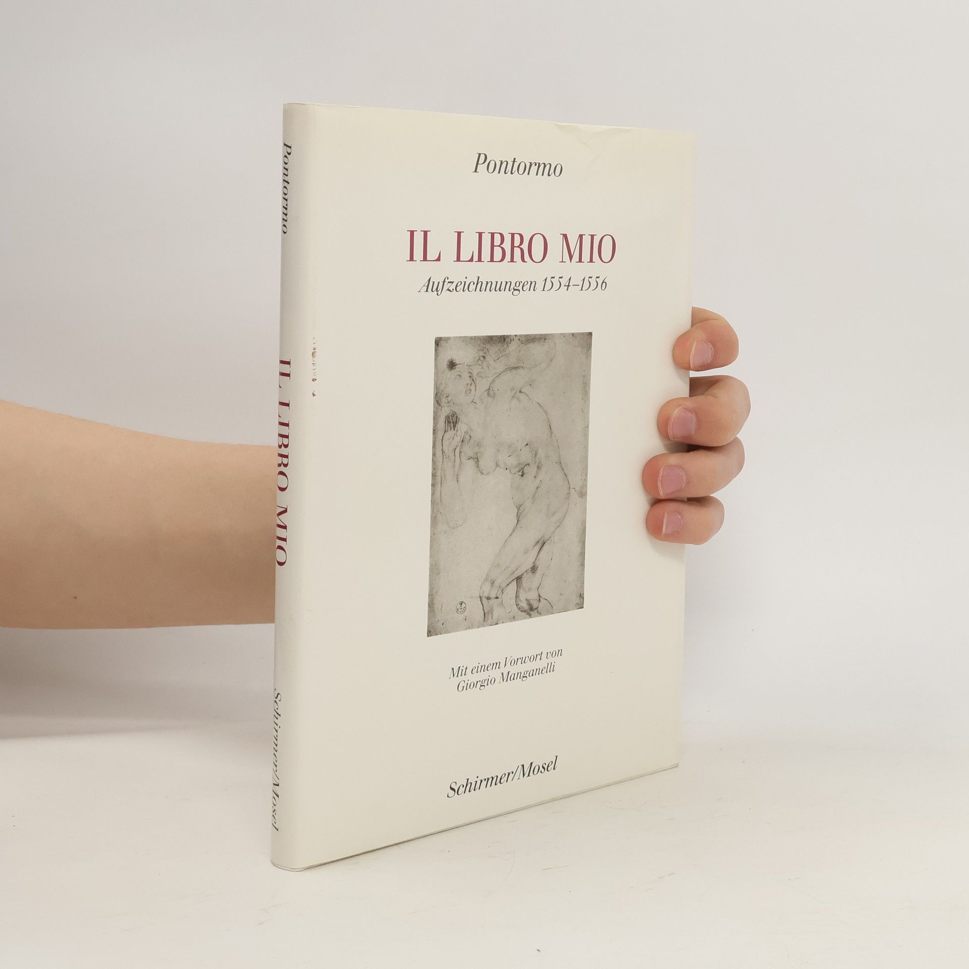 Jacopo Pontormo Il libro mio