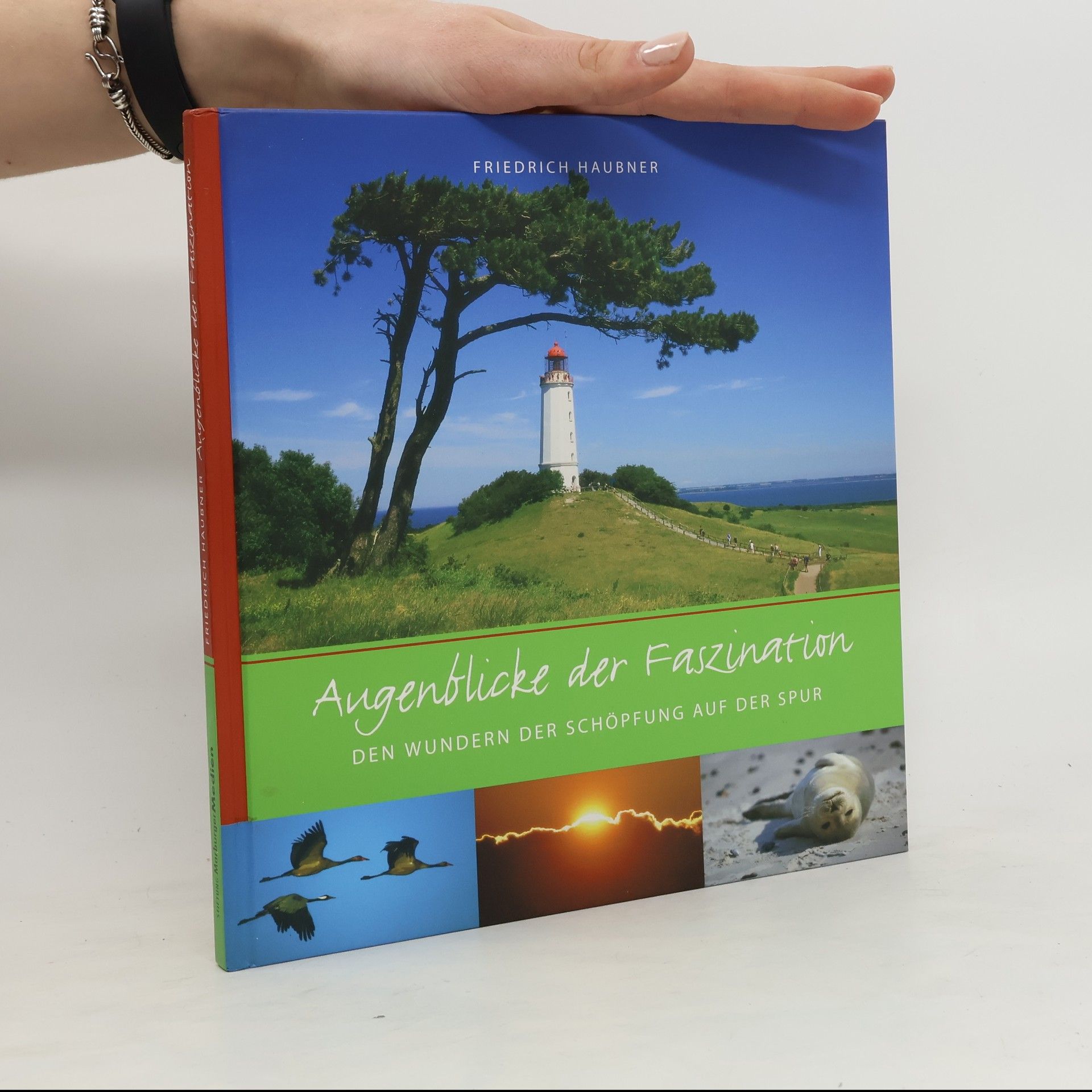 Friedrich Haubner Augenblicke der Faszination