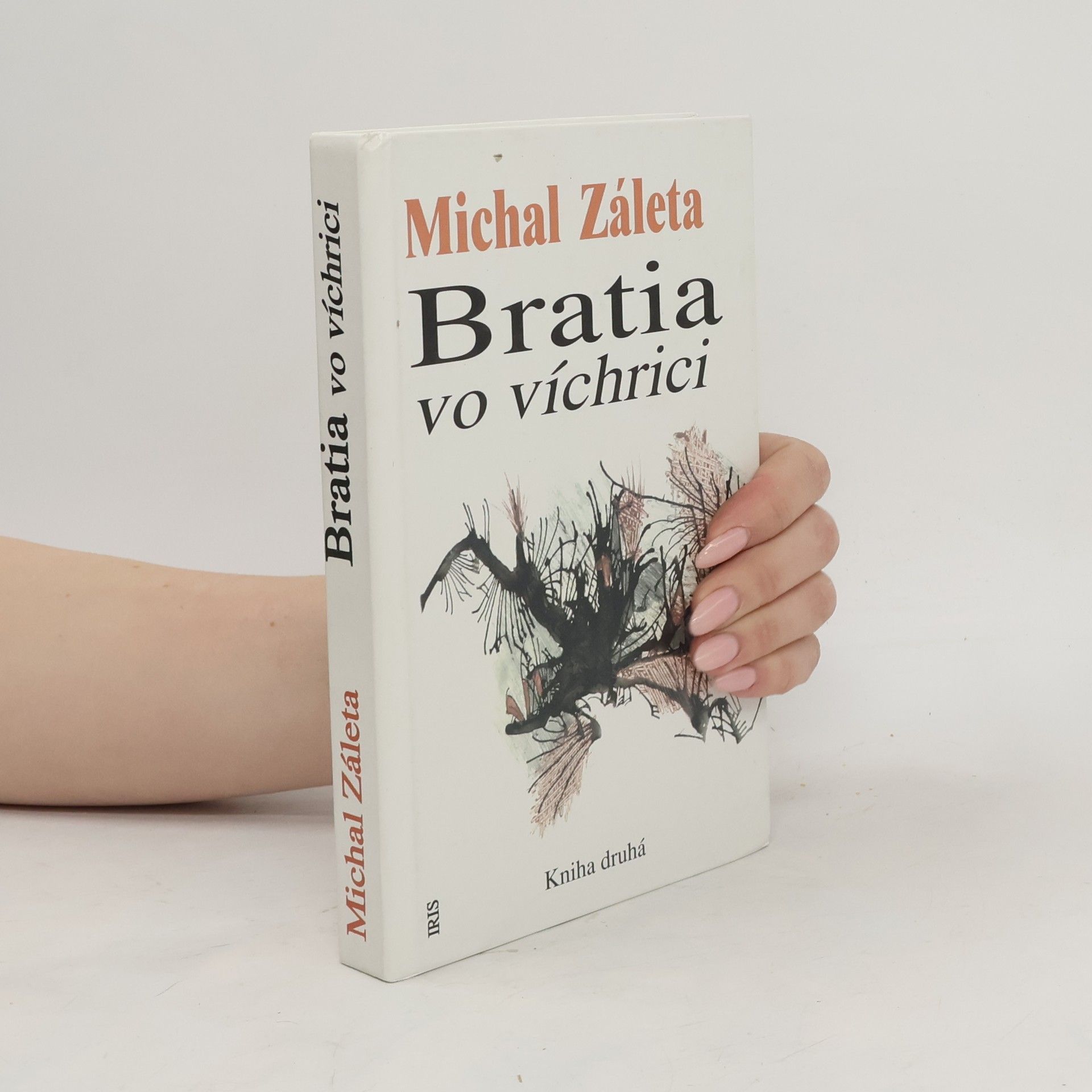 Michal Záleta Bratia vo víchrici