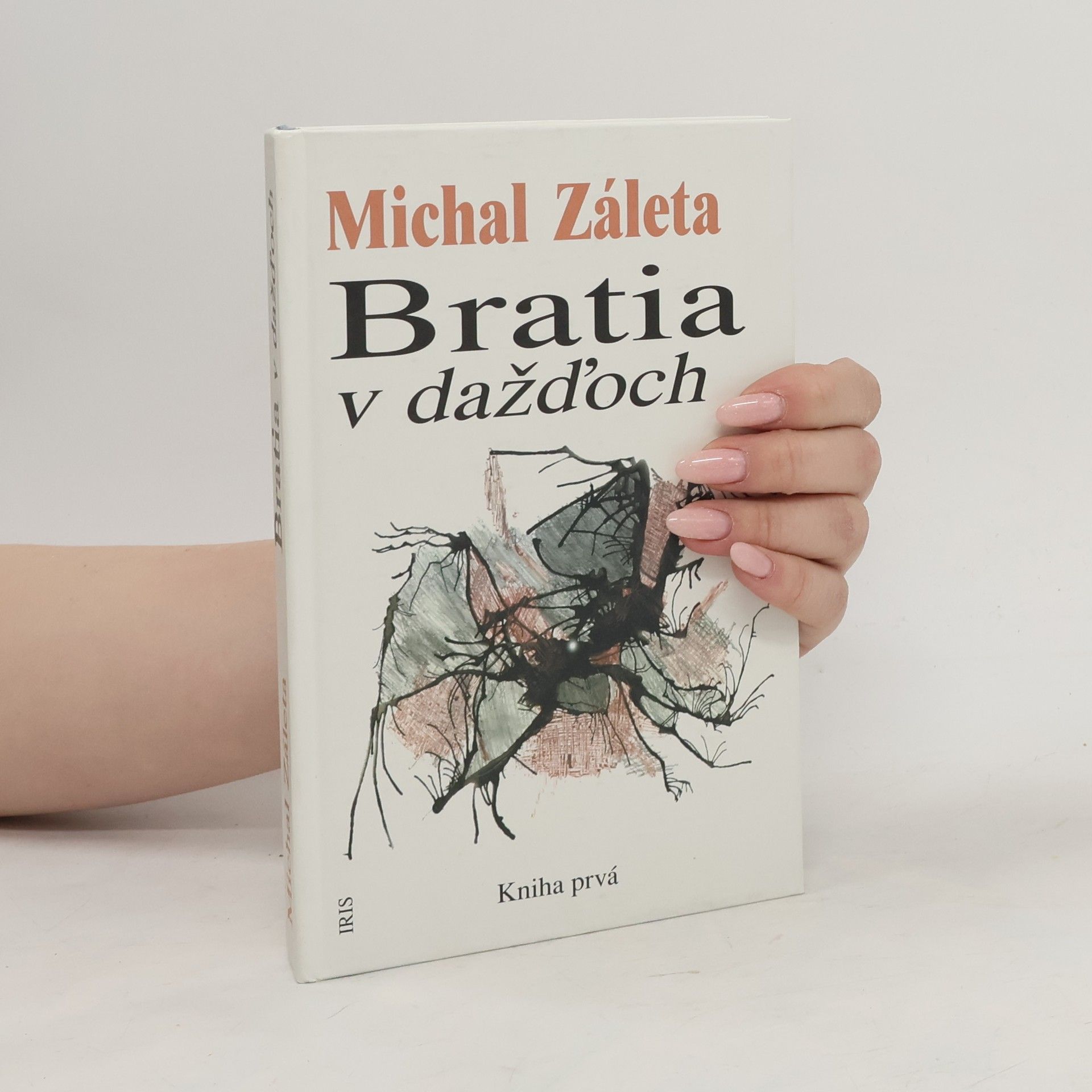 Michal Záleta Bratia v dažd̕och