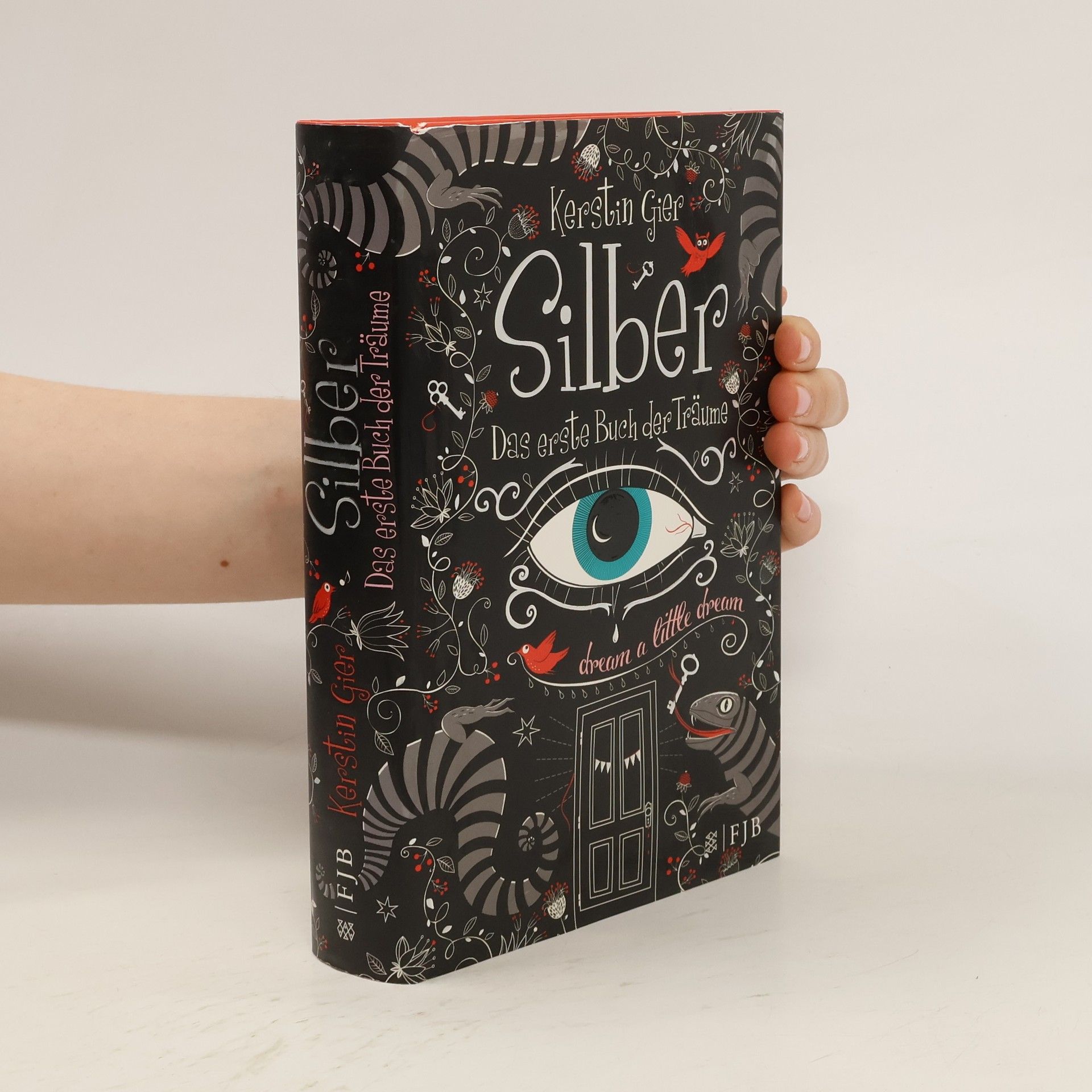 Kerstin Gier Silber Das erste Buch der Traume