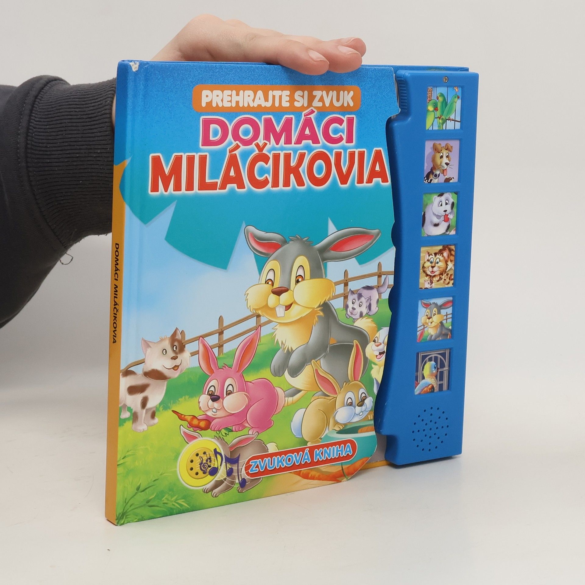 Collectif d'auteurs Domáci miláčikovia