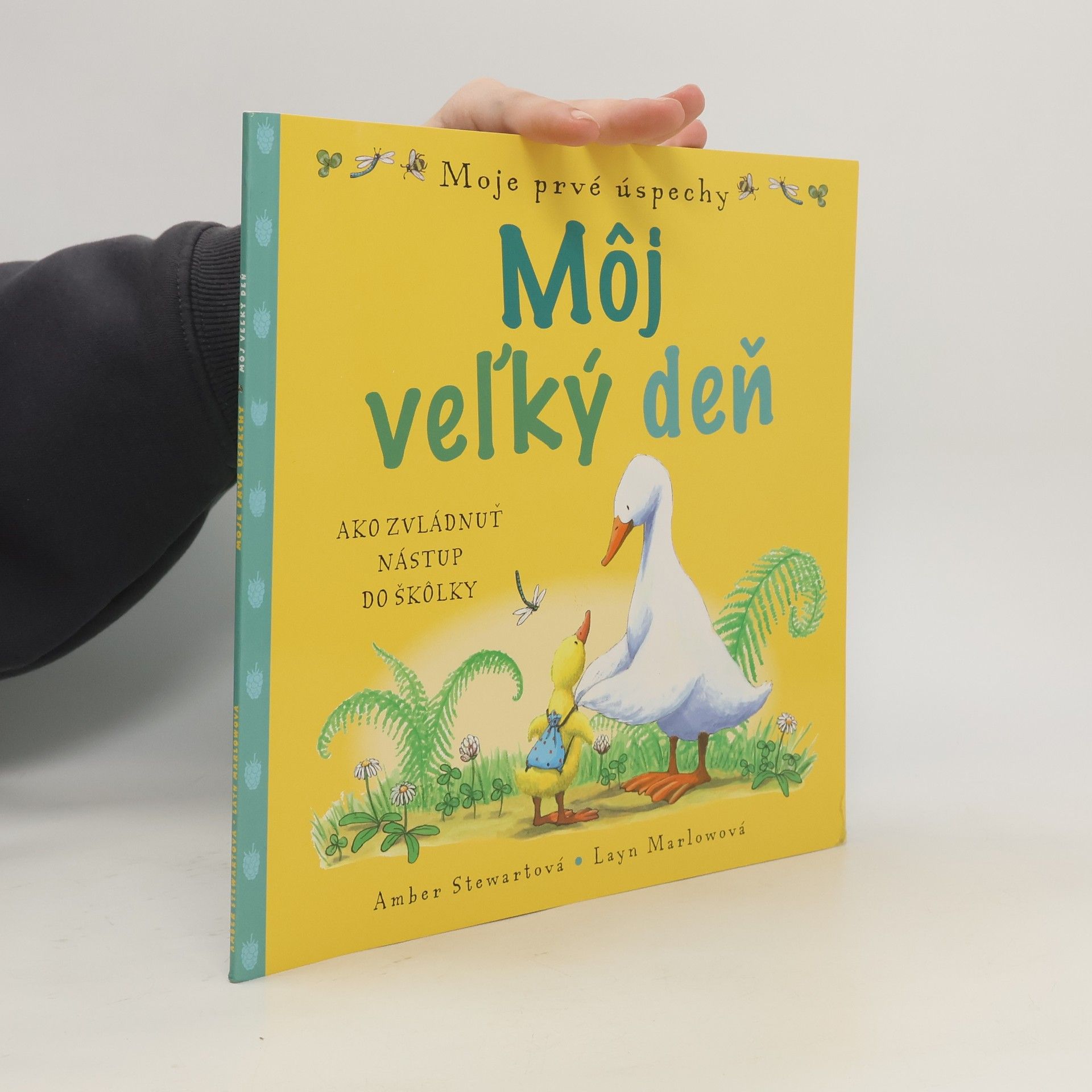 Amber Stewart Môj veľký deň