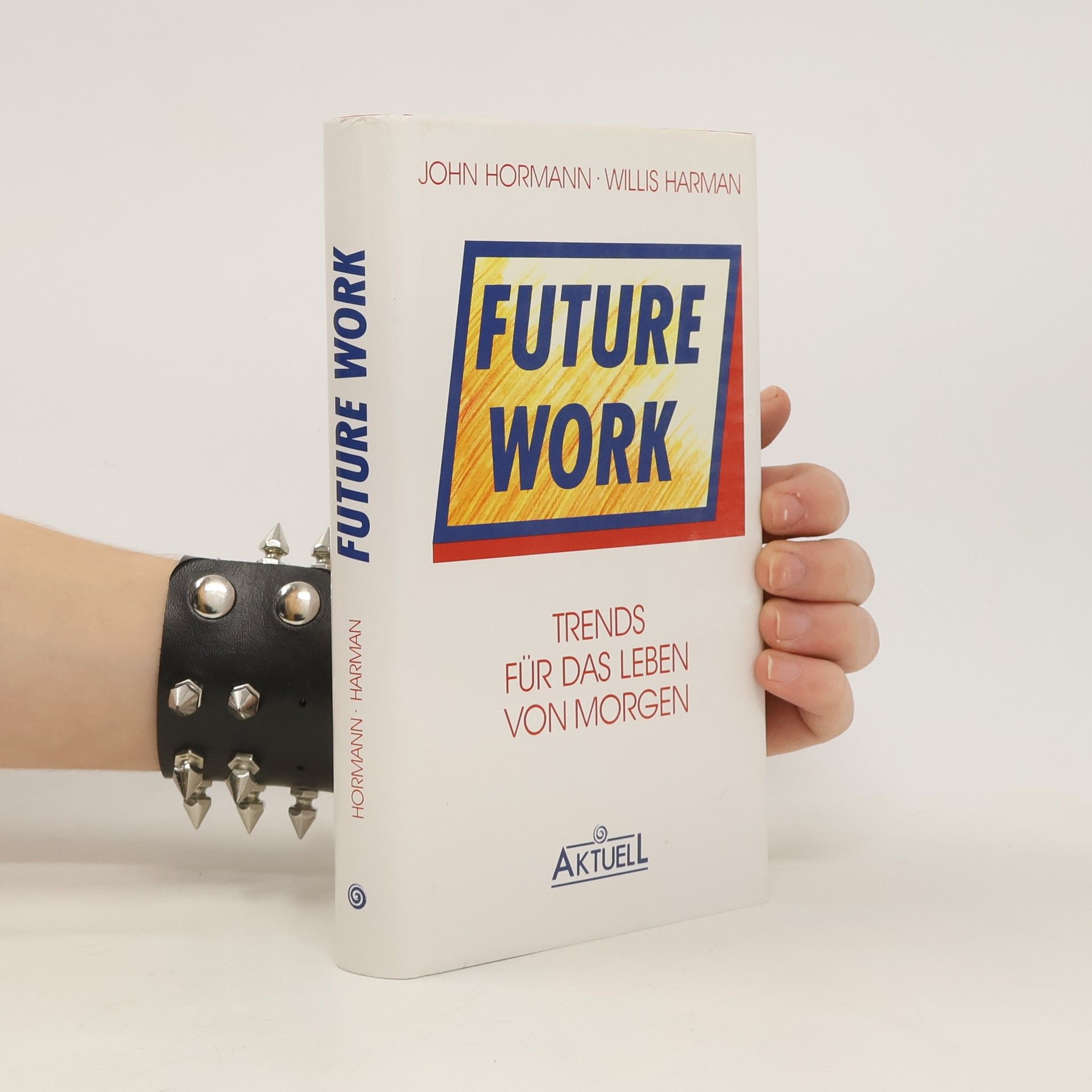 John Hormann Future work