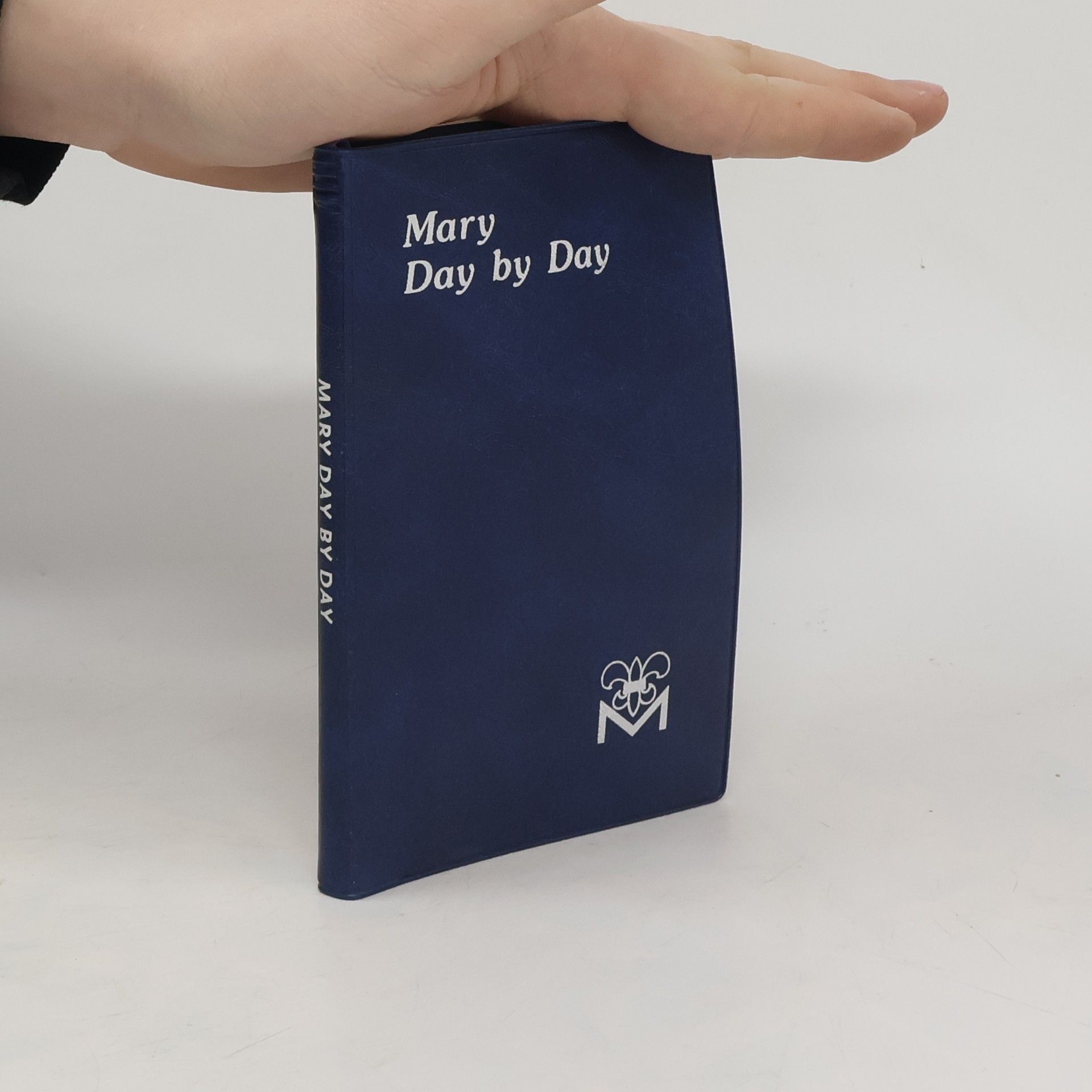 AA.VV. Mary Day by Day