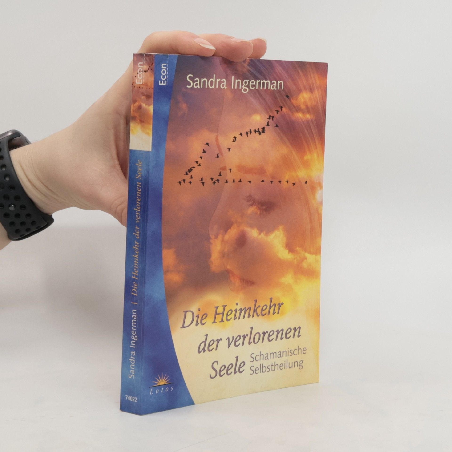 Sandra Ingerman Die Heimkehr der verlorenen Seele