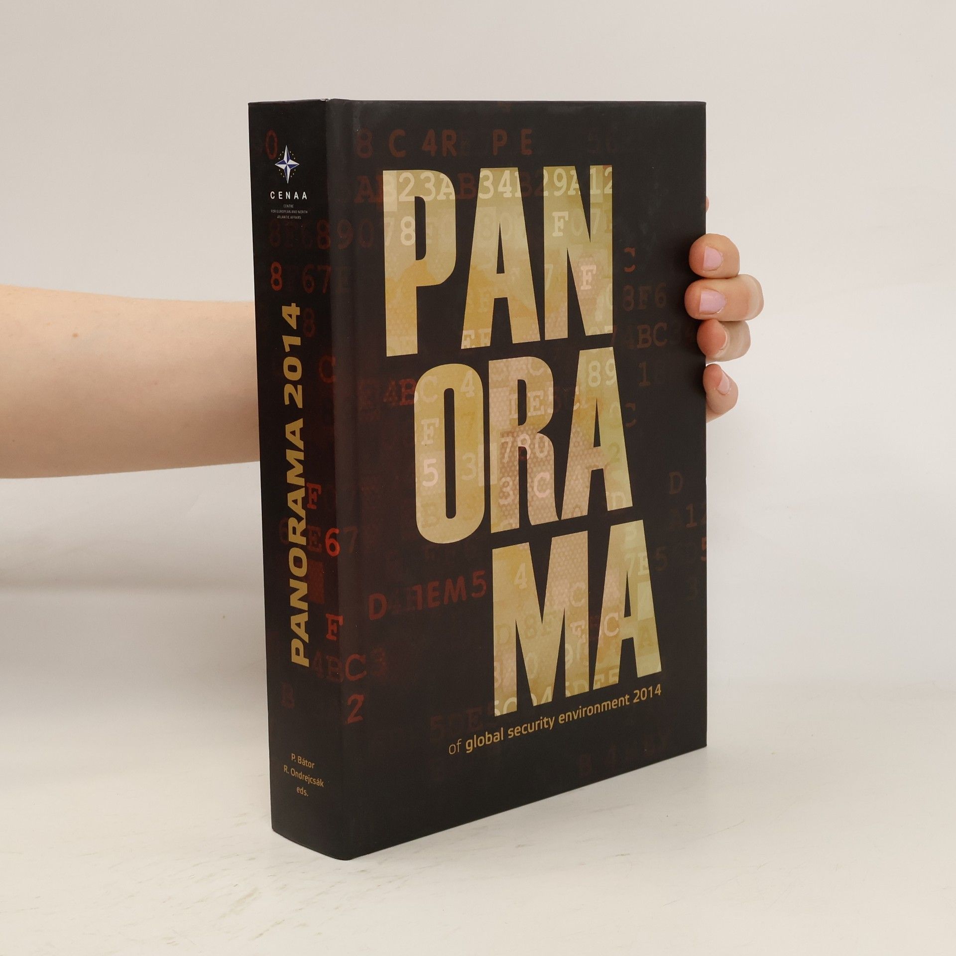 Kolektív autorov Panorama of Global Security Environment 2014