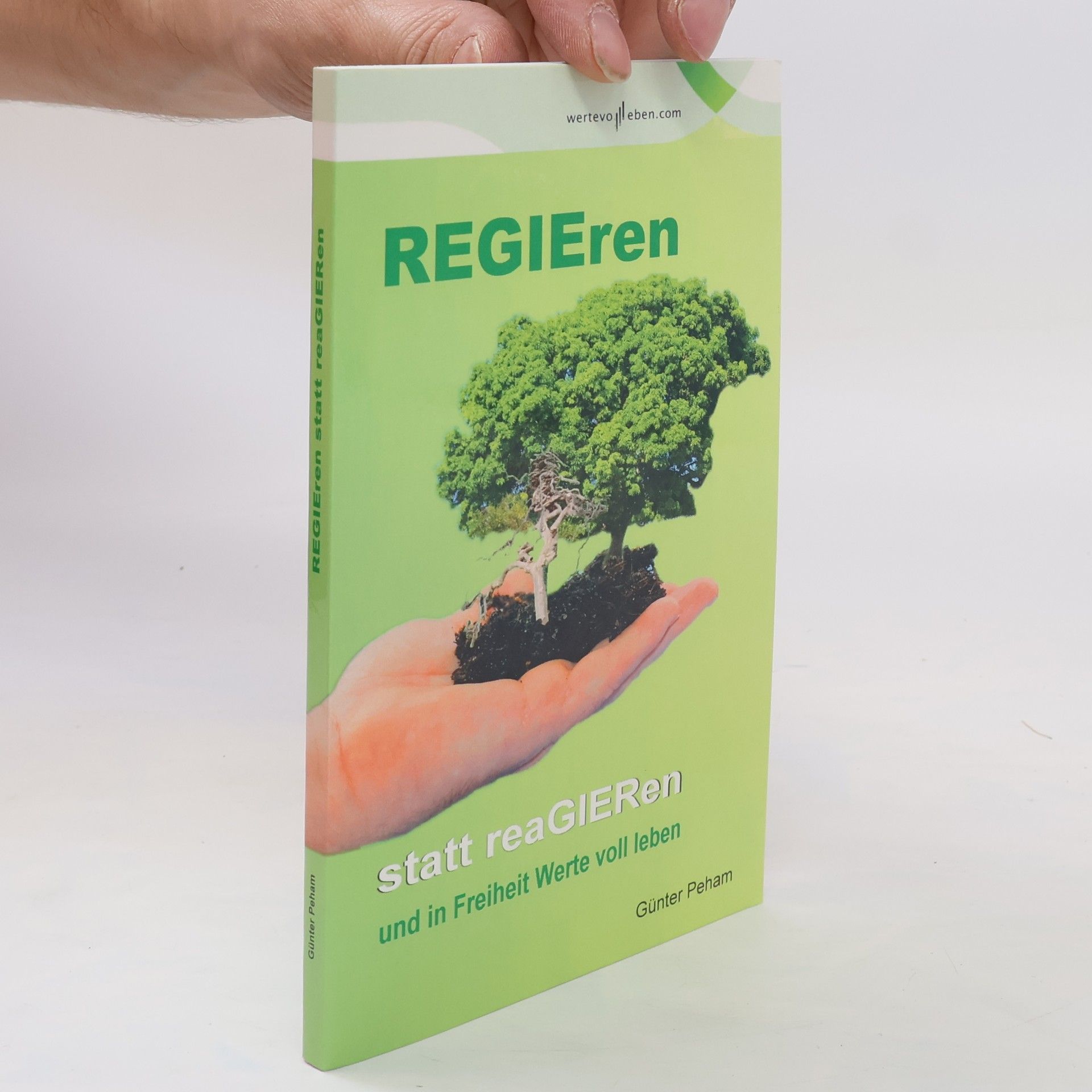 Günter Peham Regieren statt reagieren