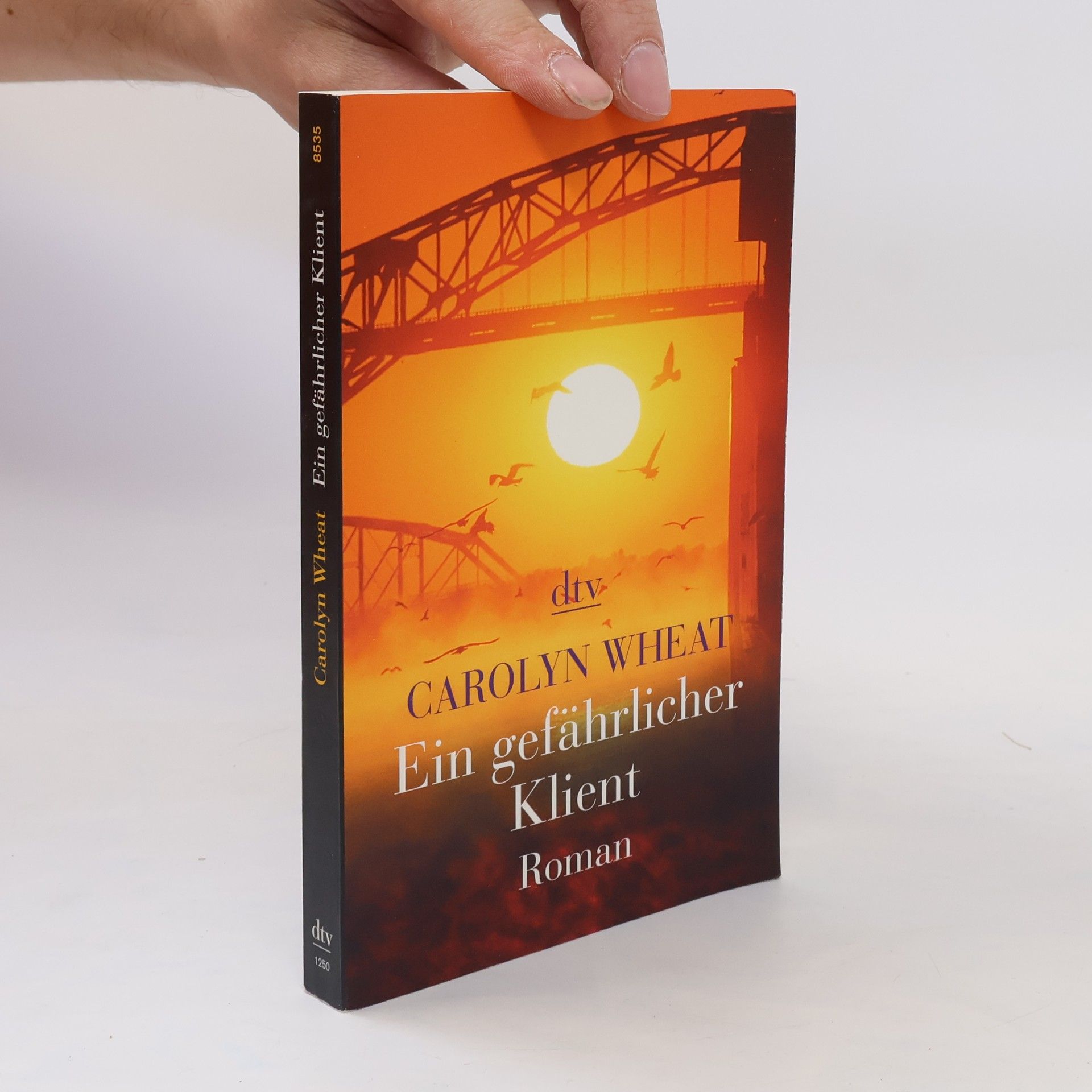 Carolyn Wheat Ein gefährlicher Klient. Kriminalroman. Dtsch. v. Susanne Kundmüller-Bianchini