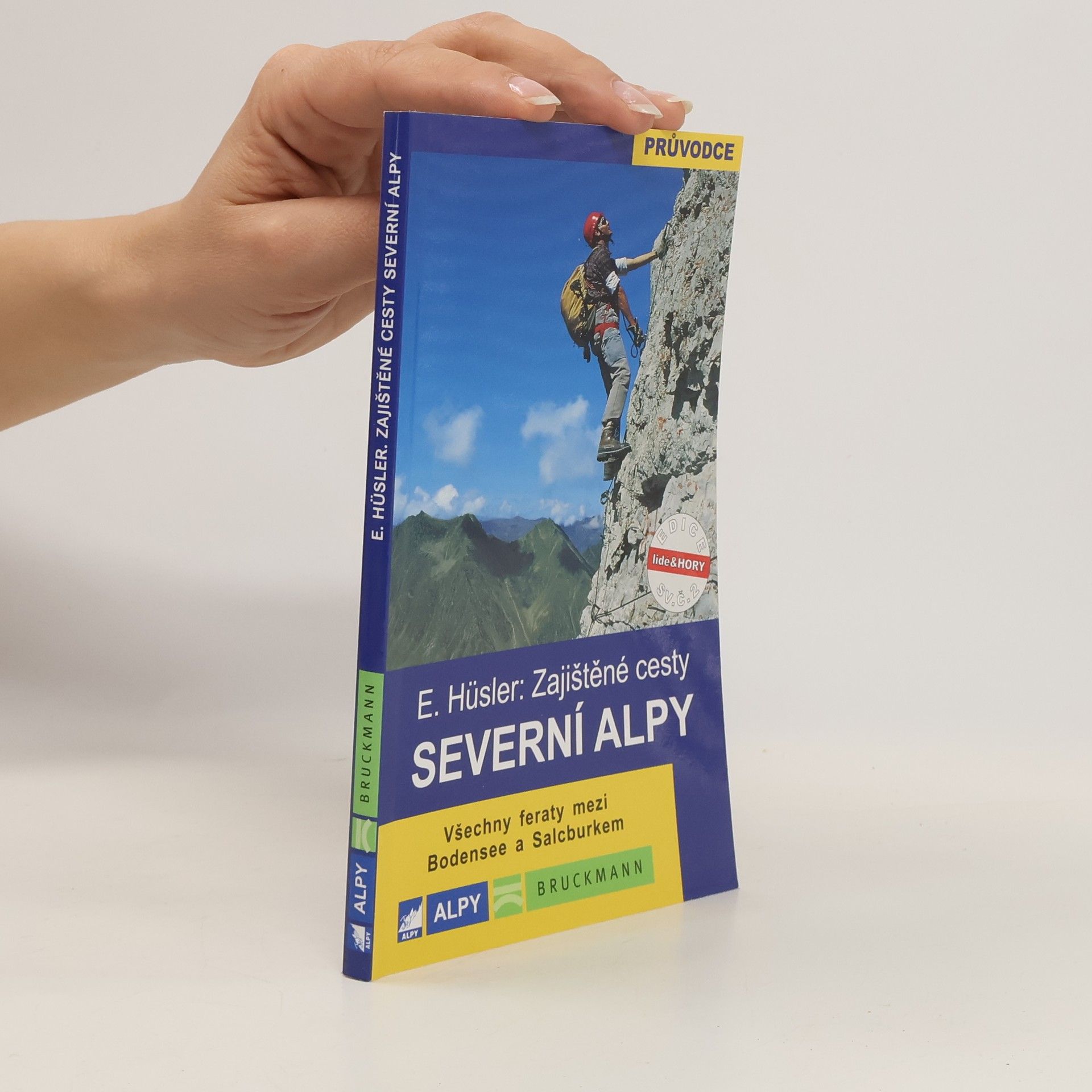 Eugen Eduard Hüsler Zajištěné cesty: Severní Alpy
