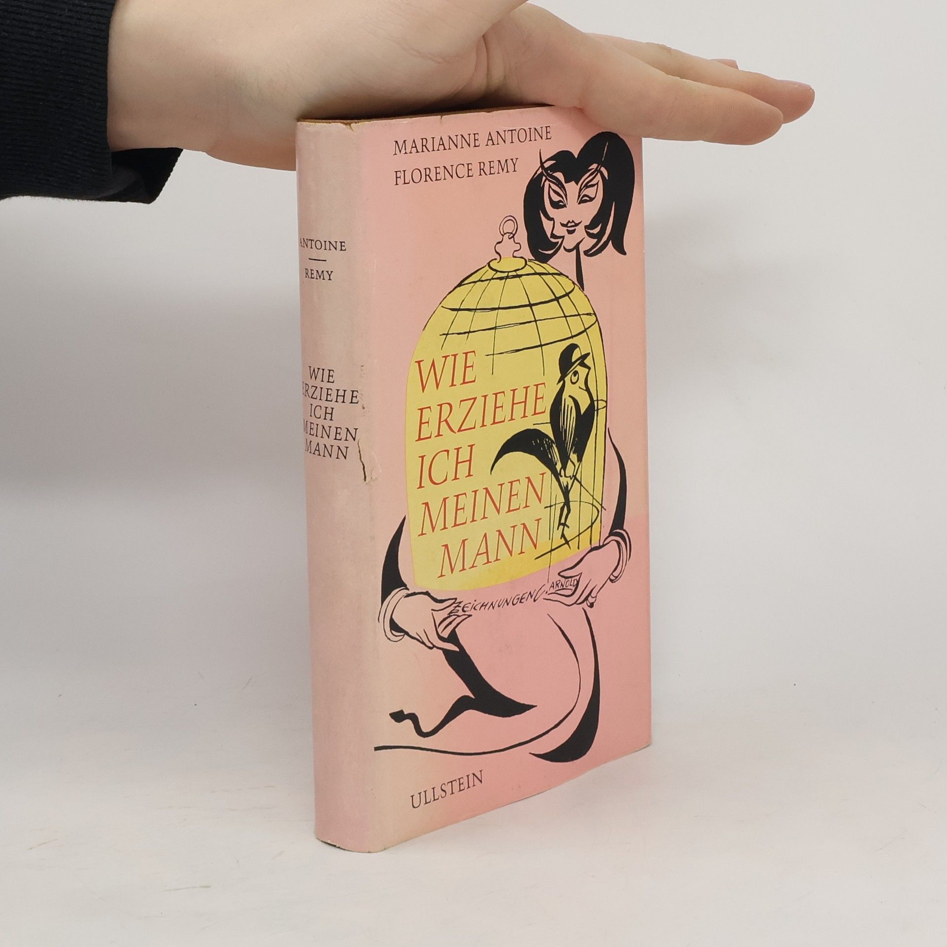 Marianne Antoine Wie erziehe ich meinen Mann