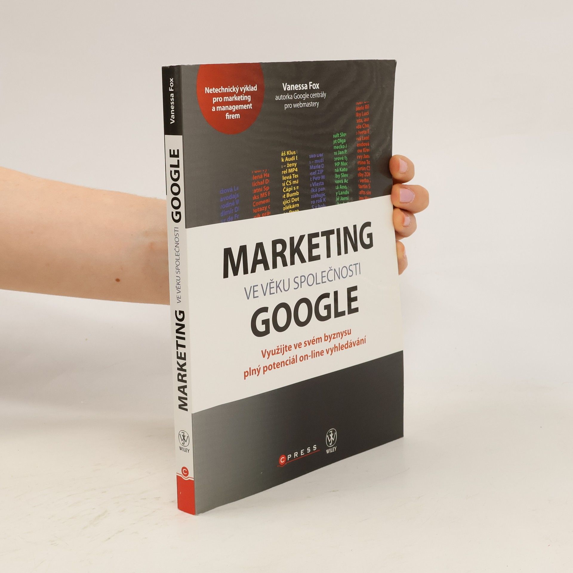 Marketing ve věku společnosti Google