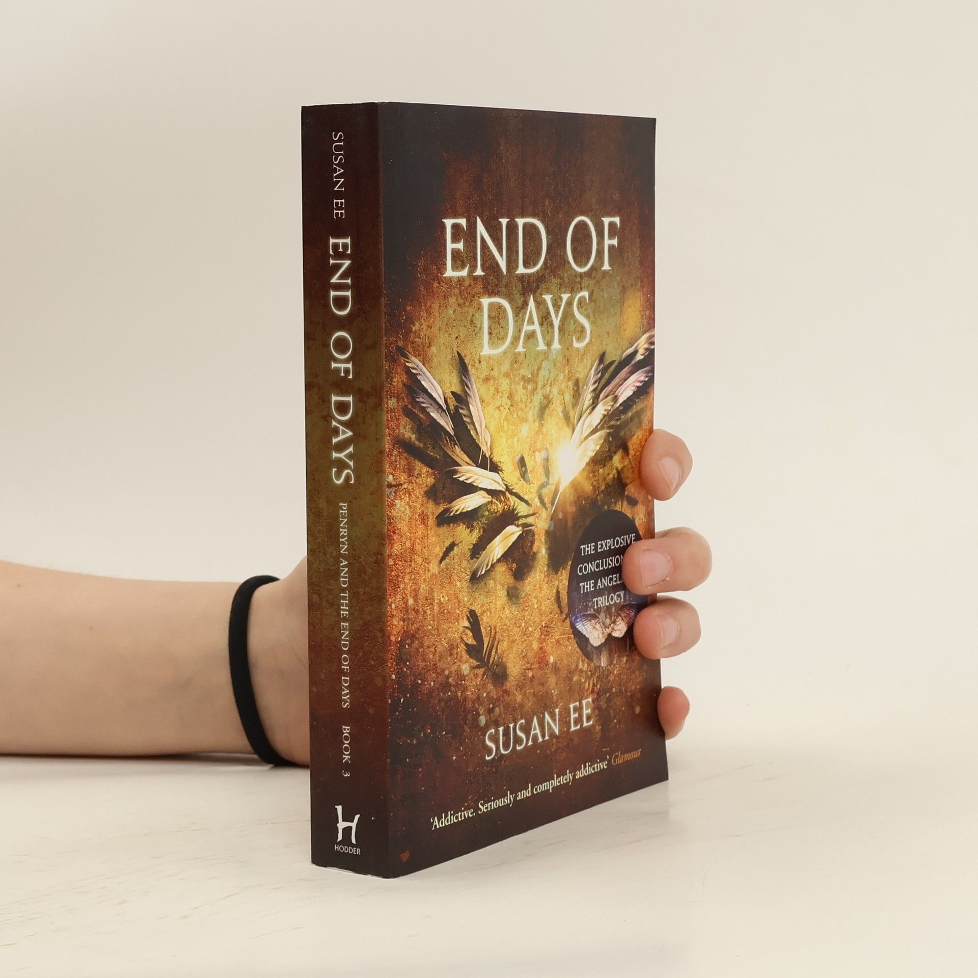 Susan Ee End of Days