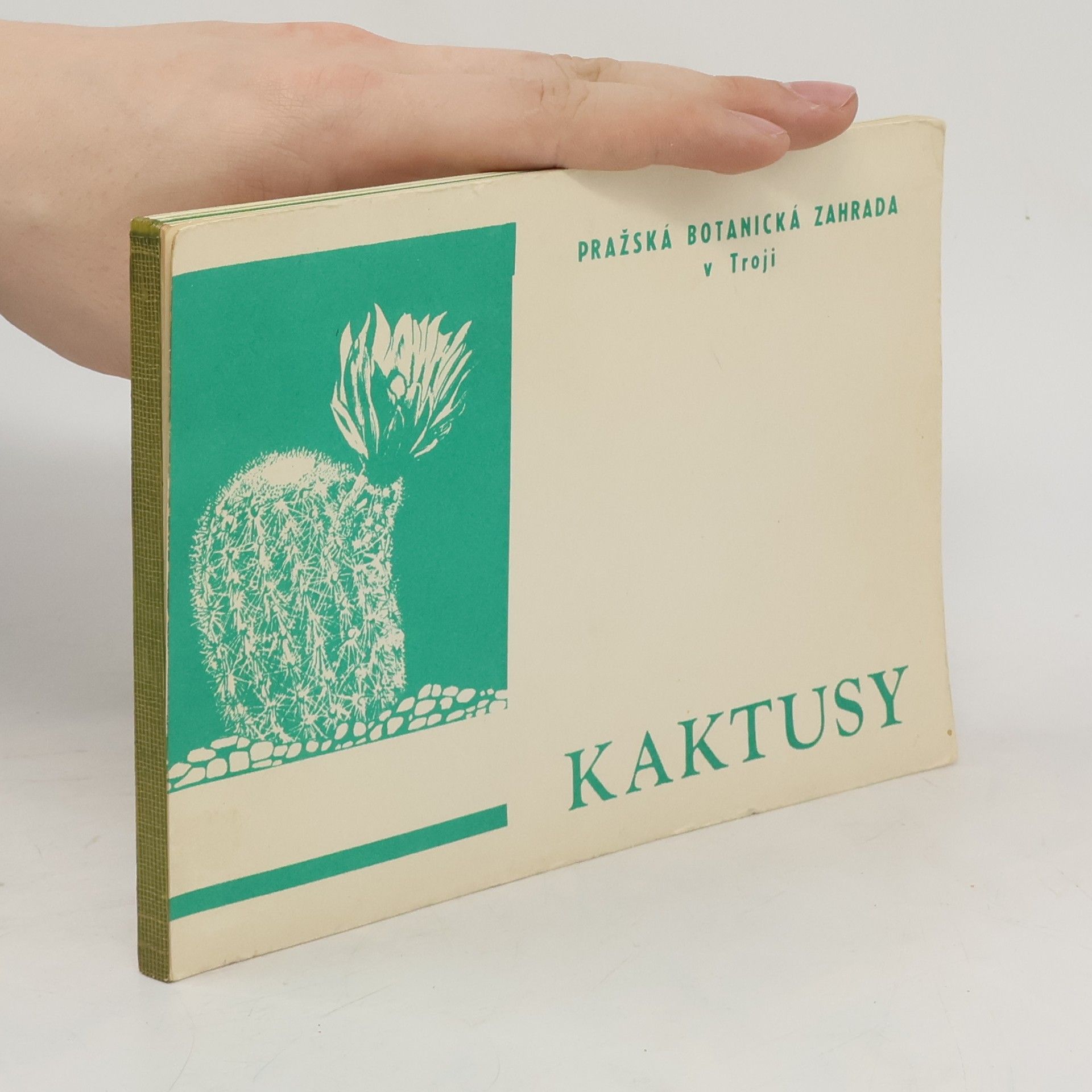 Jiří Novák Kaktusy