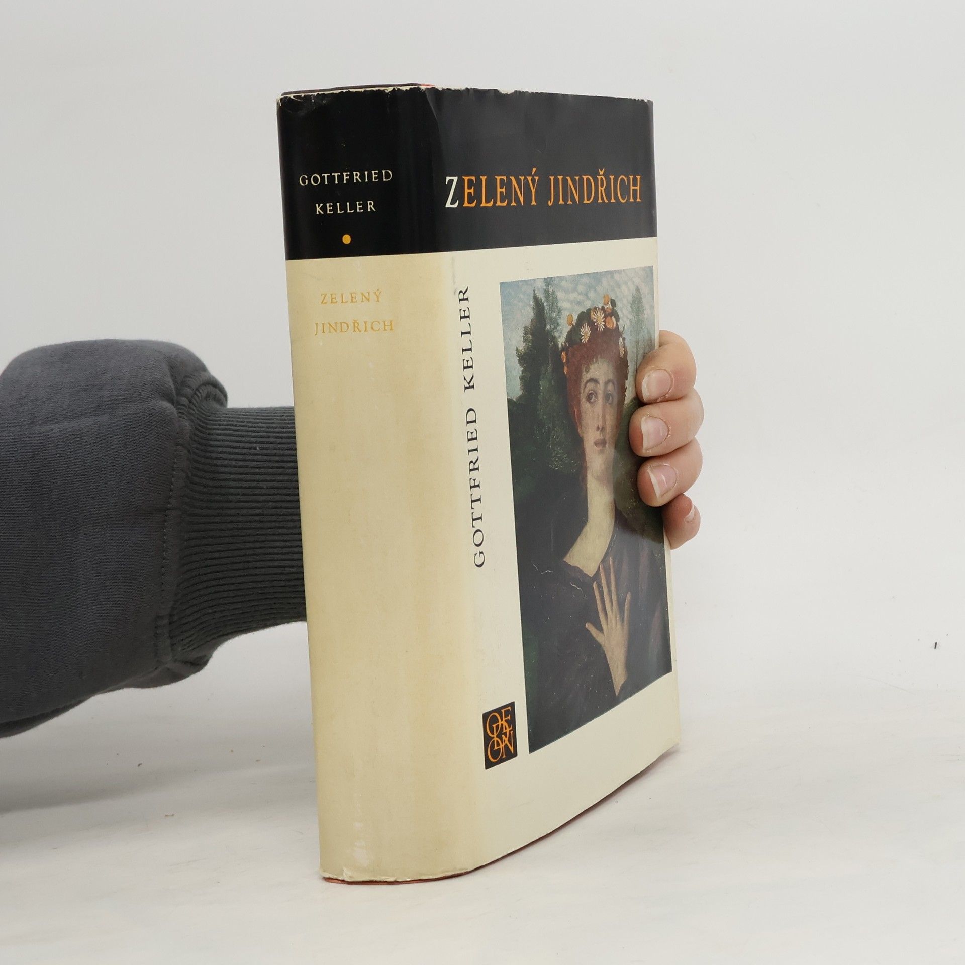 Gottfried Keller Zelený Jindřich