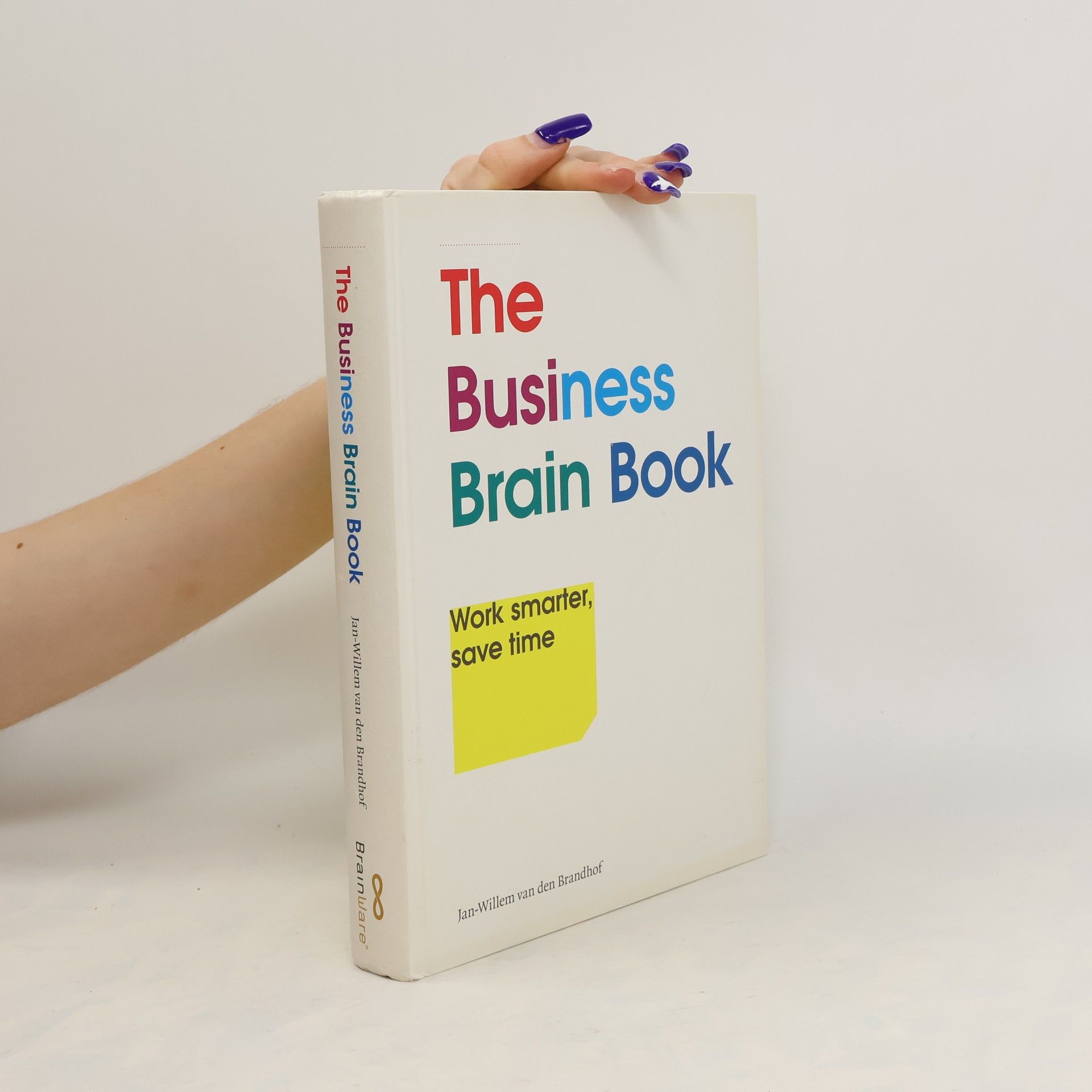 Jan-Willem van den Brandhof The Business Brain Book