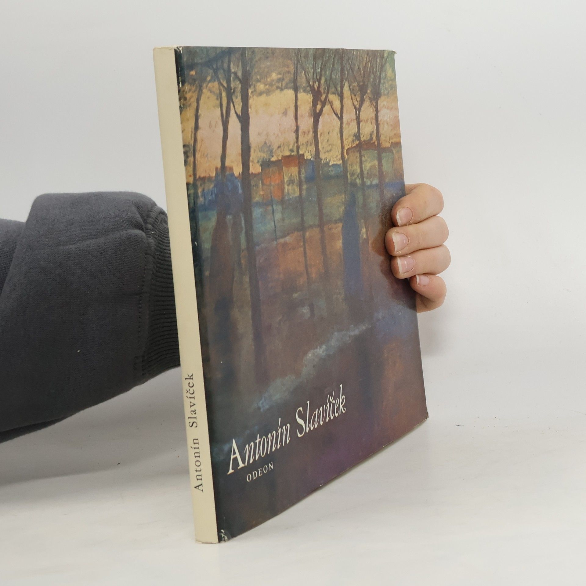 Jan Marius Tomeš Antonín Slavíček