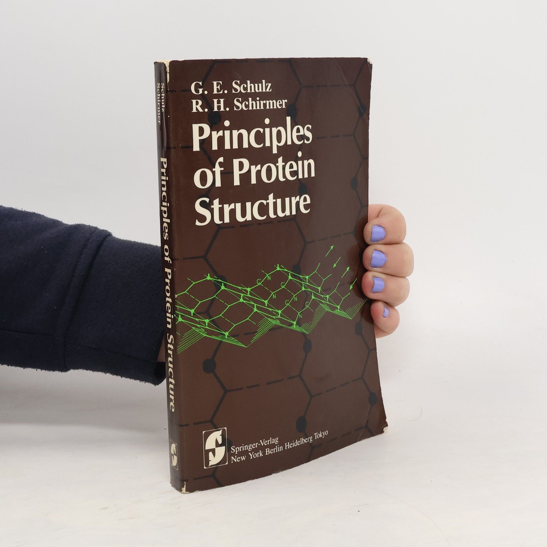 Rolf Heiner Schirmer Principles of Protein Structure