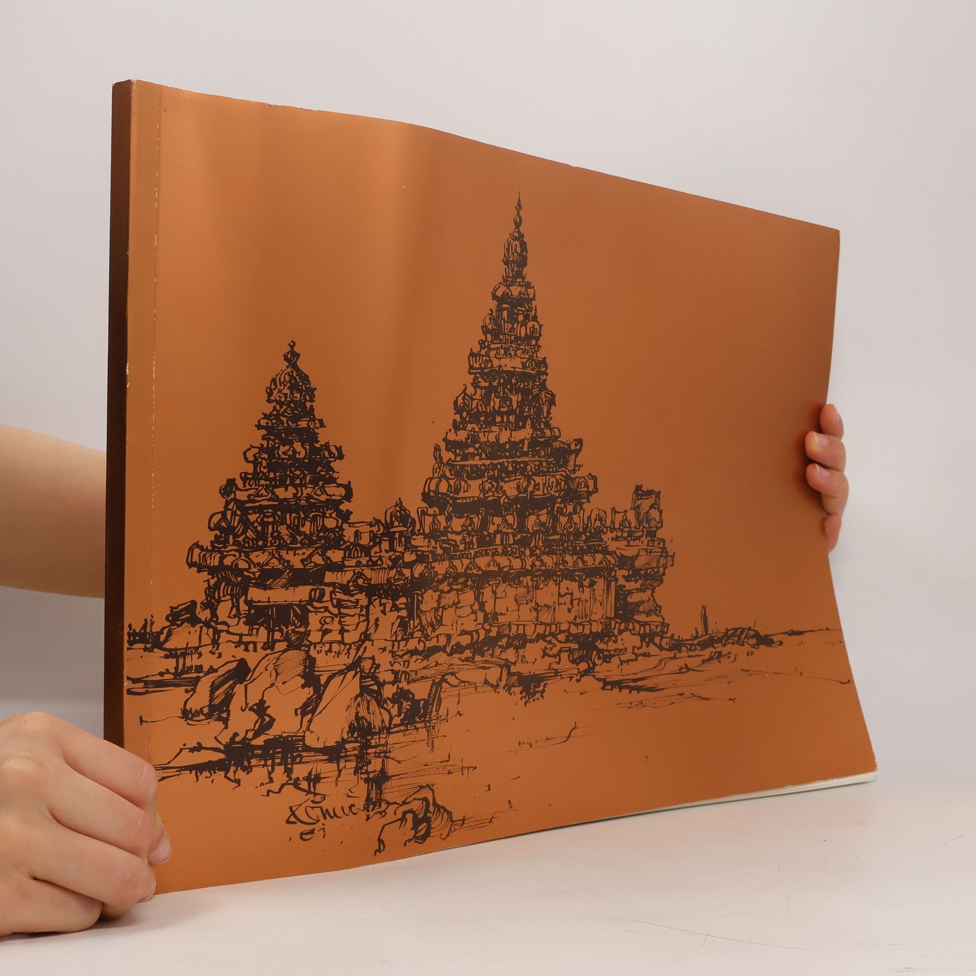 Martin Grassnick Hindu-Architektur
