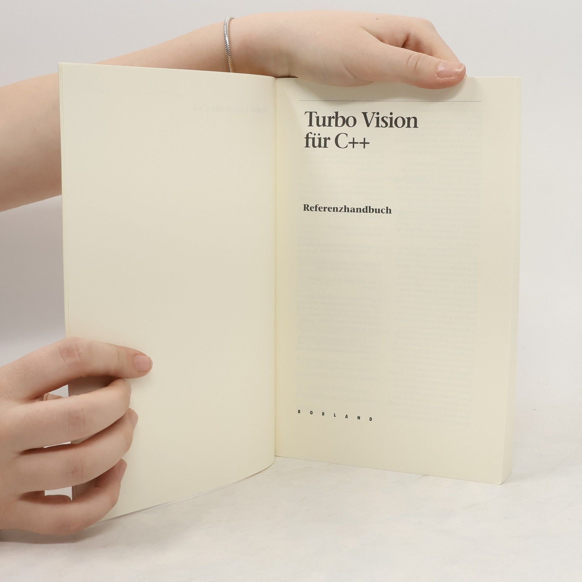 Autorenkollektiv Turbo Vision C++