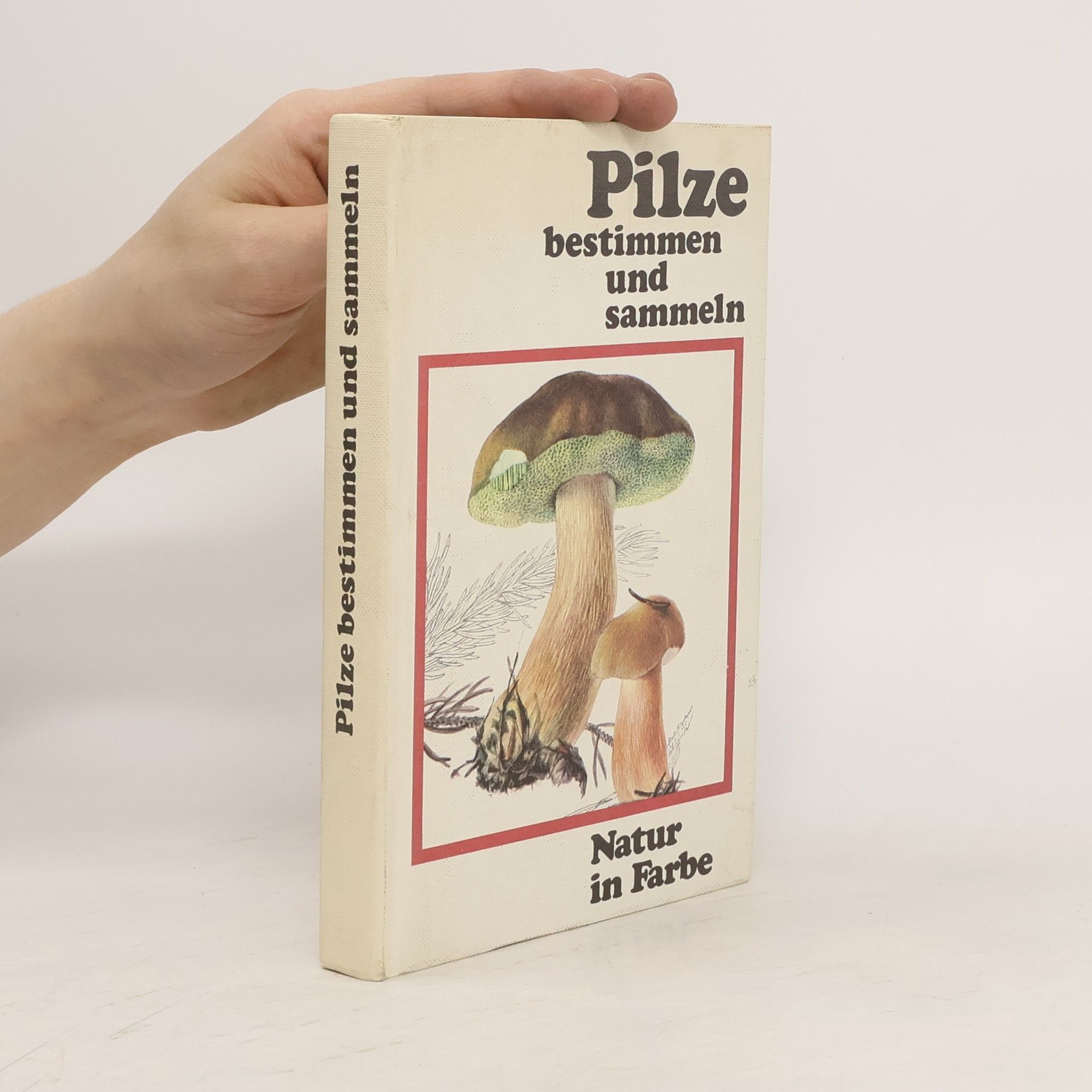 Vančura Pilze bestimmen und sammeln