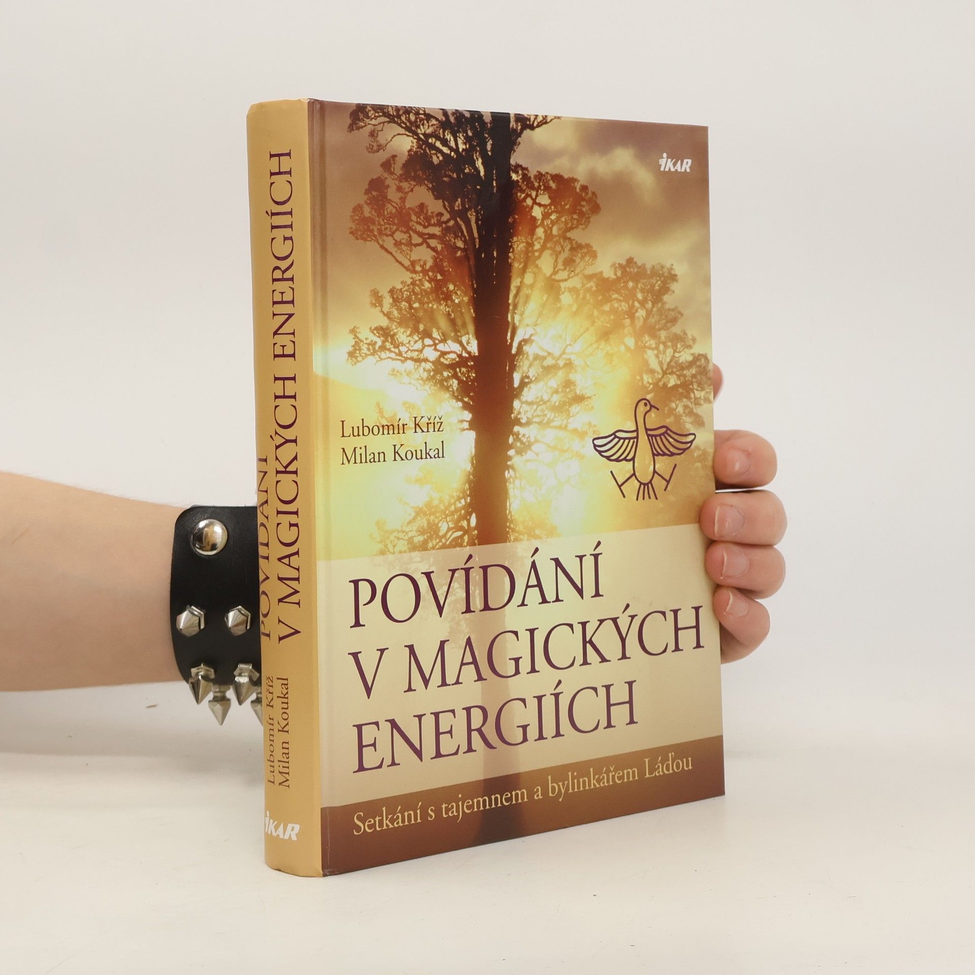 Lubomír Kříž Povídání v magických energiích