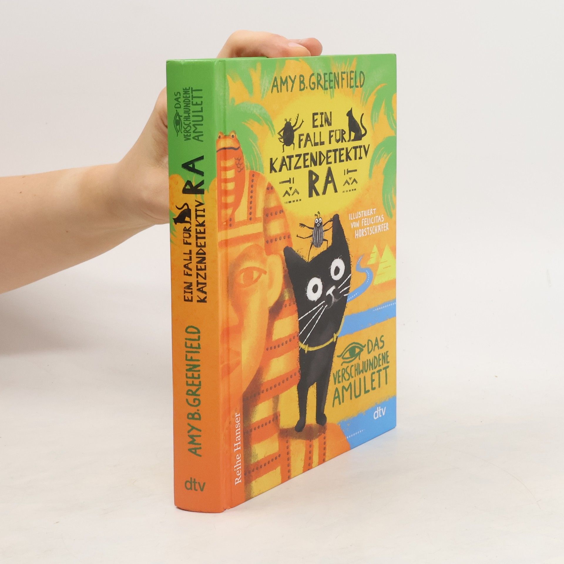 Amy Greenfield B. Ein Fall für Katzendetektiv Ra, Das verschwundene Amulett