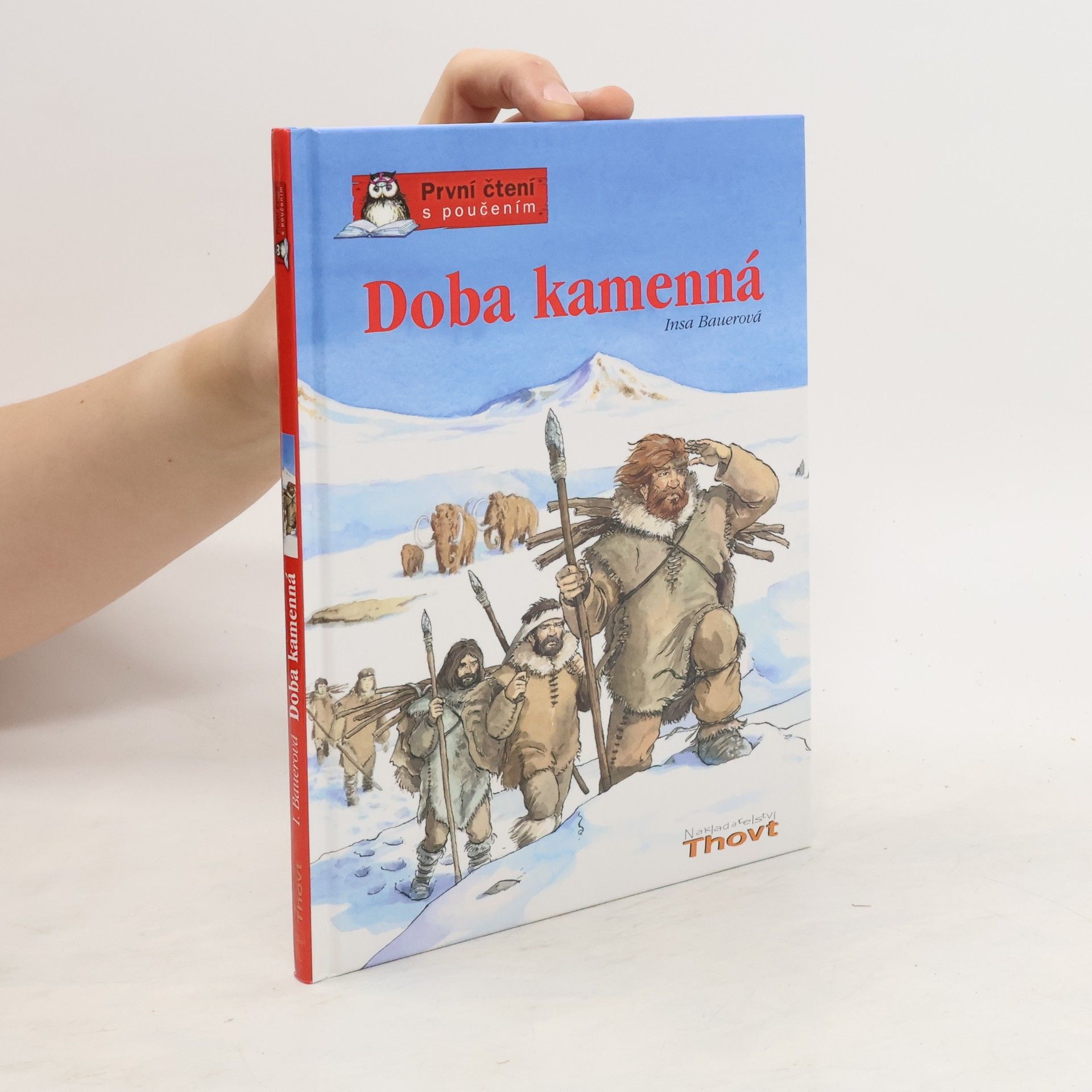 Insa Bauer Doba kamenná