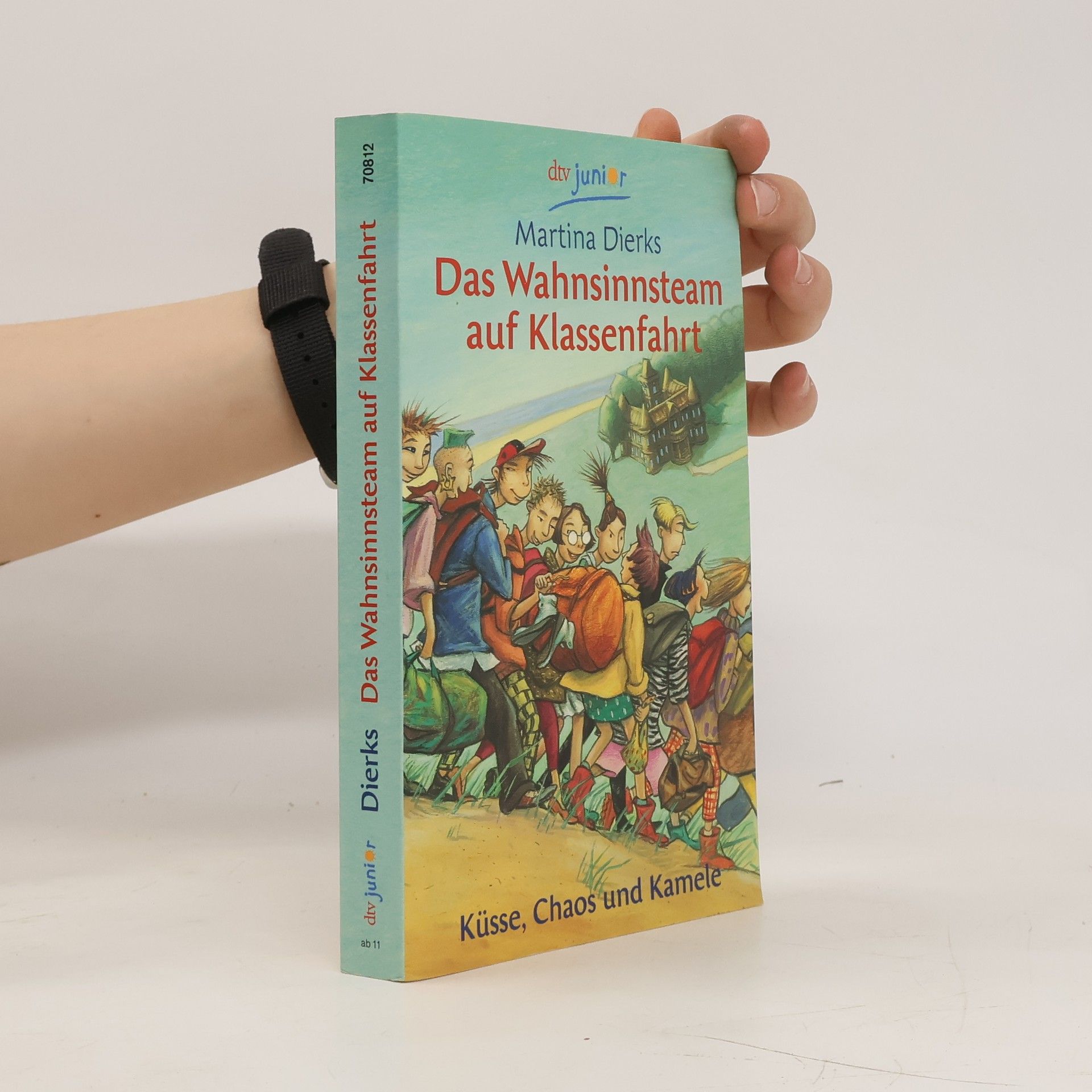Martina Dierks Das Wahnsinnsteam auf Klassenfahrt