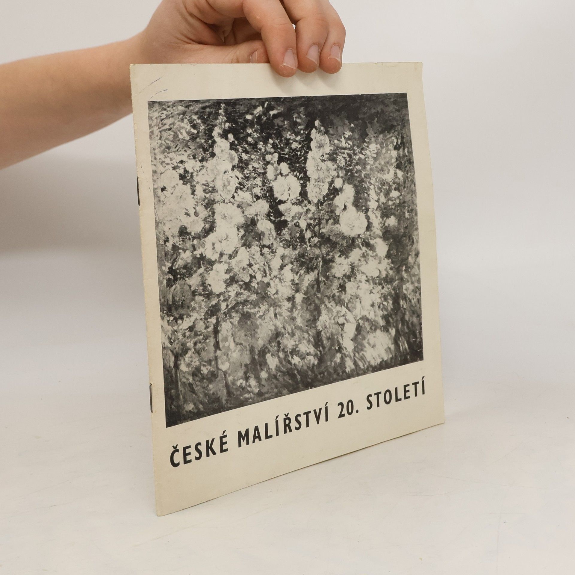 Kolektív autorov České malířství 20. Století