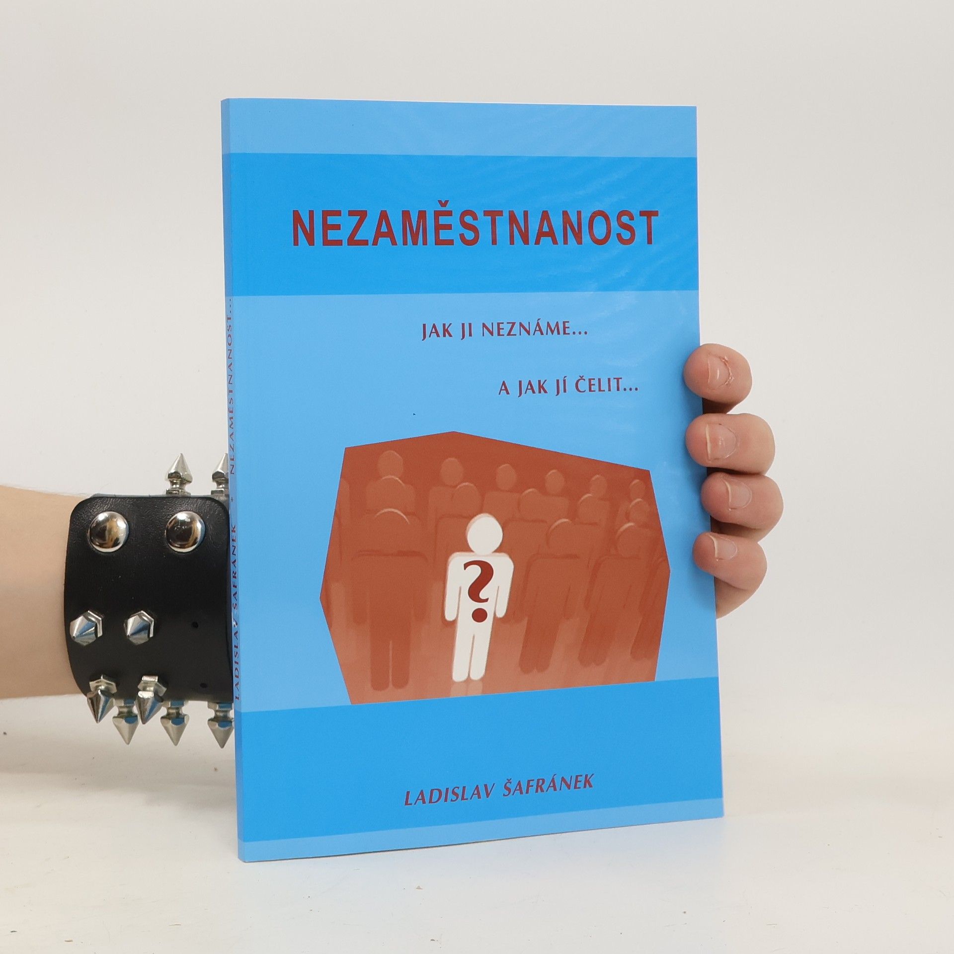 Ladislav Šafránek Nezaměstnanost: jak ji neznáme a jak jí čelit...